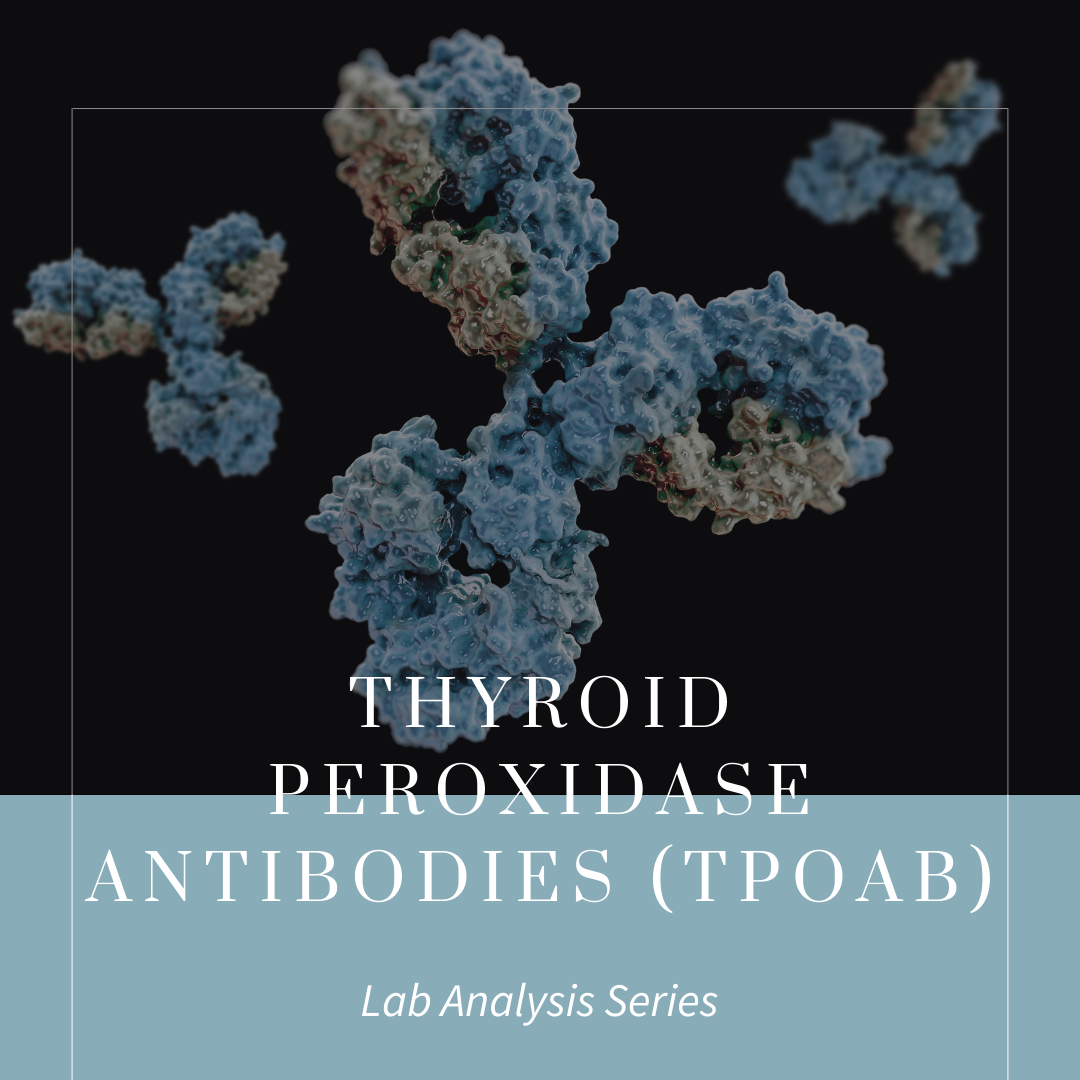 Thyroid Peroxidase Ab