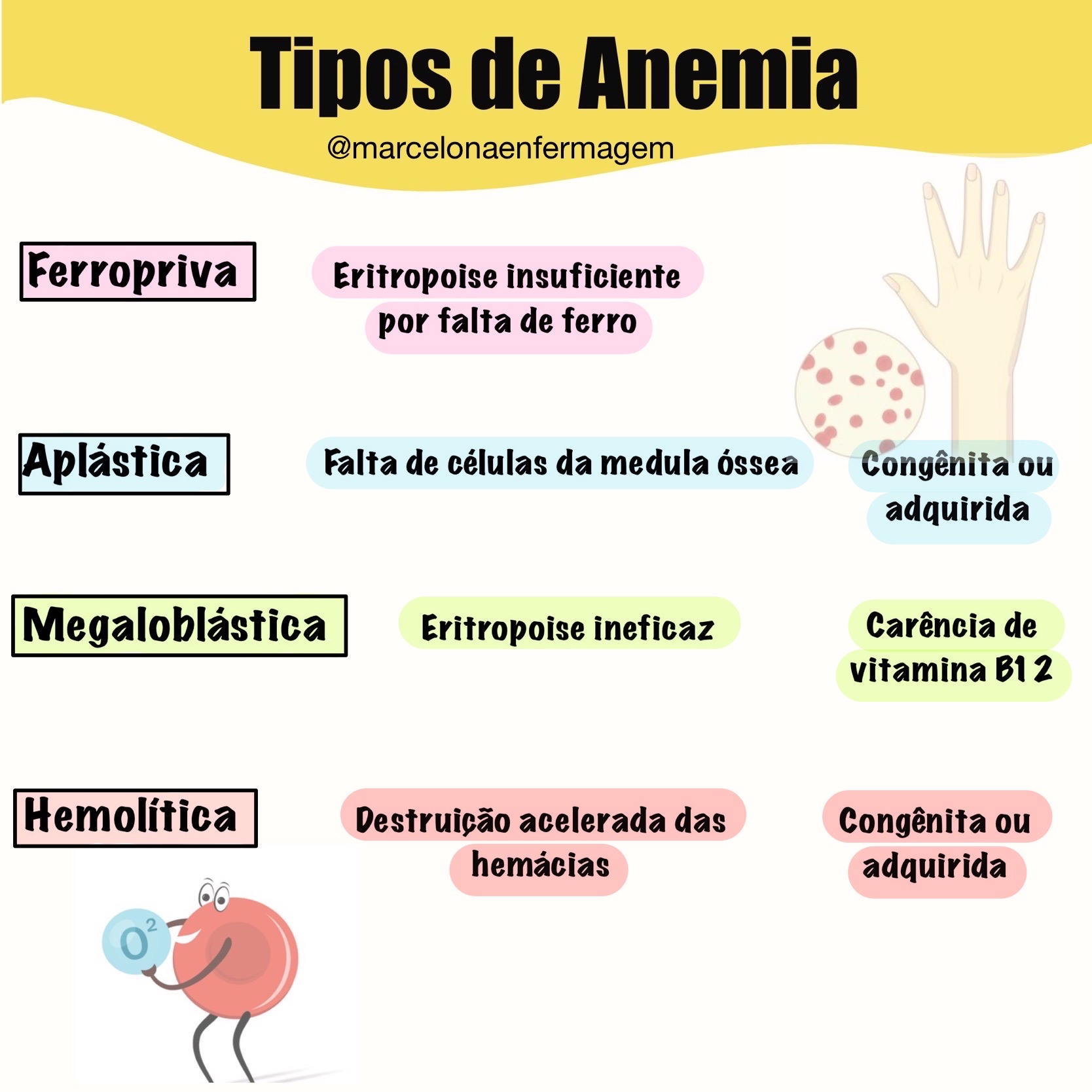 Tipos De Anemia