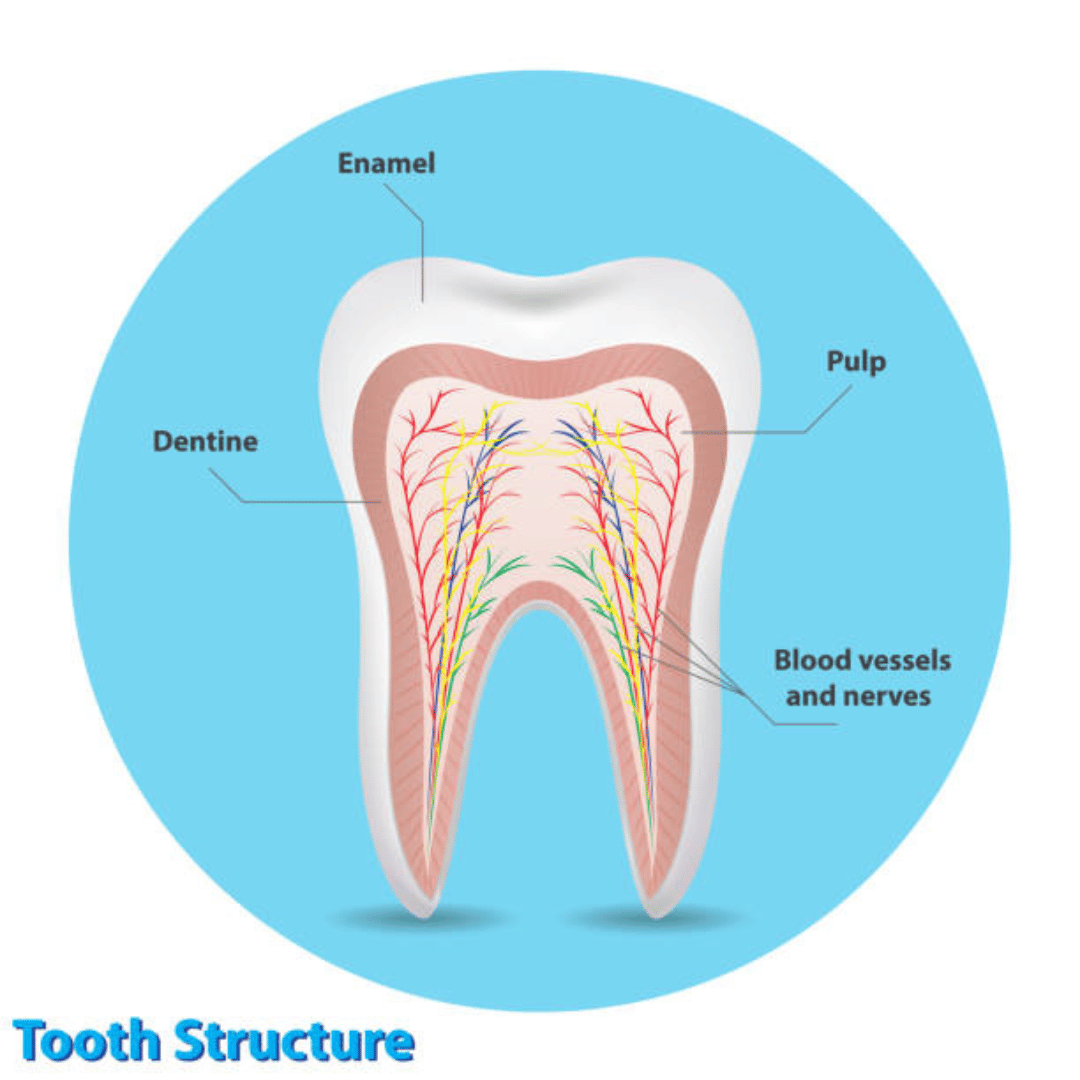 Tooth Nerve Pain