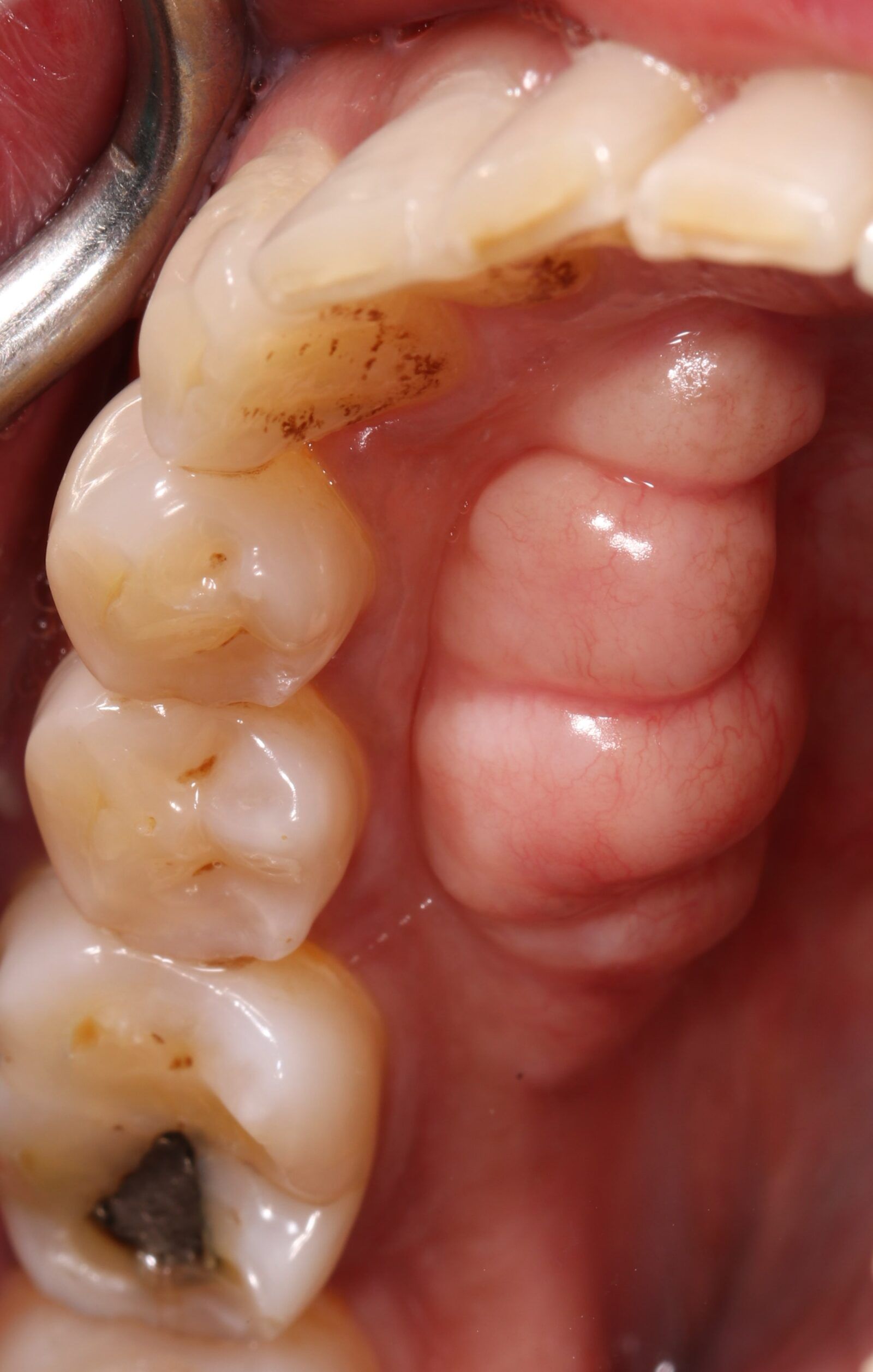 Tori In Mouth