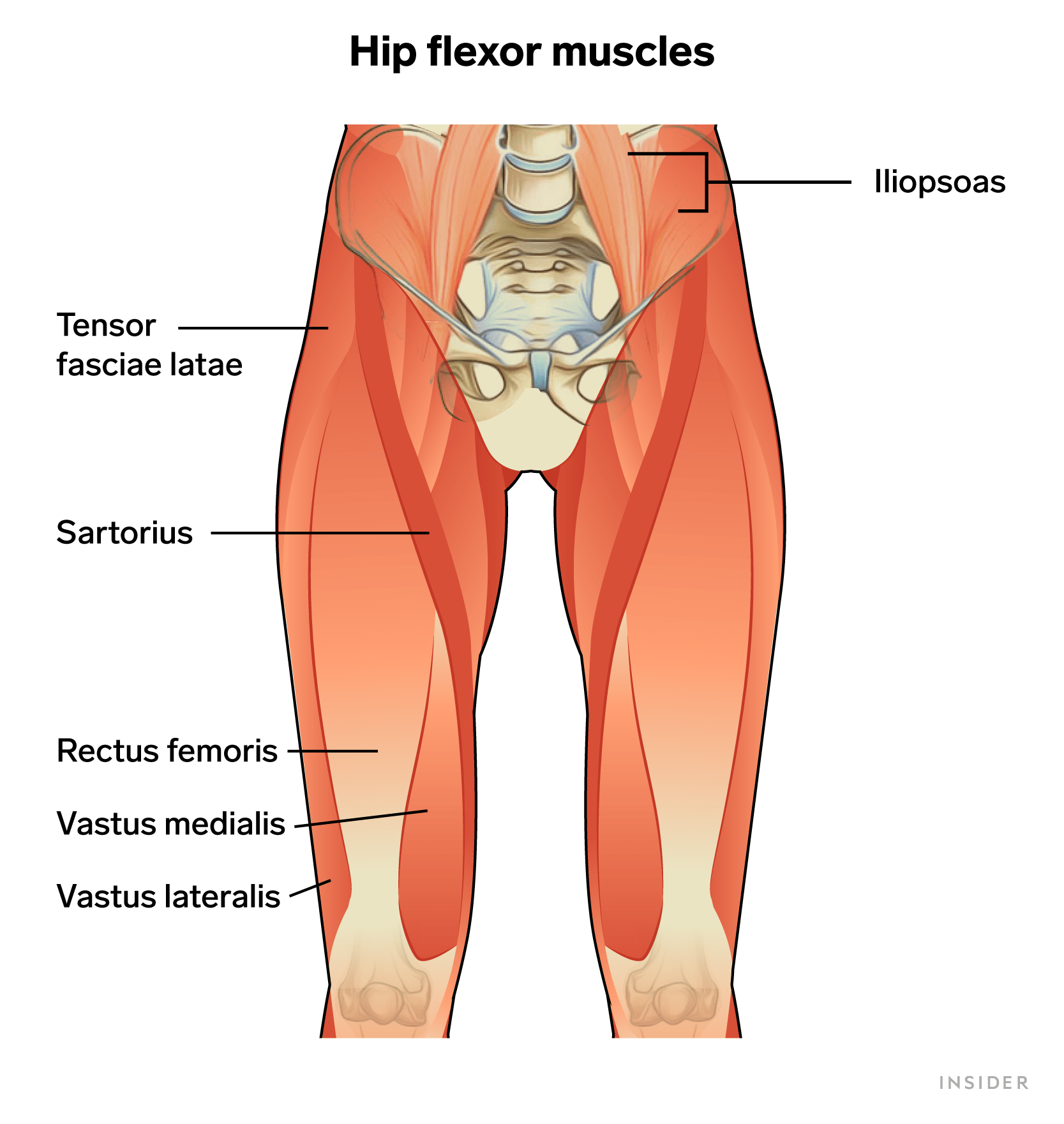 Torn Hip Flexor Symptoms