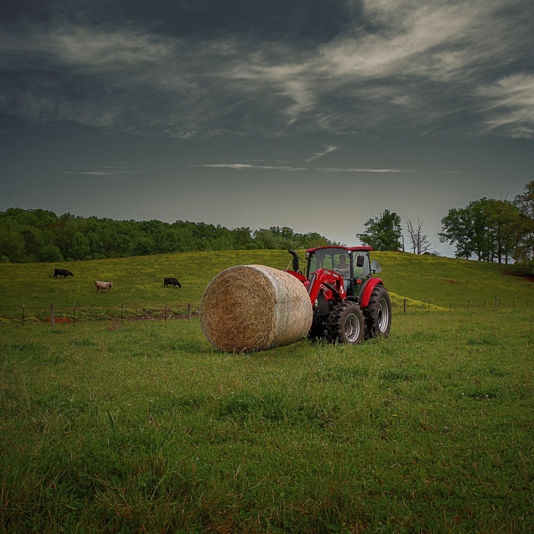 Tractor Supply Weslaco