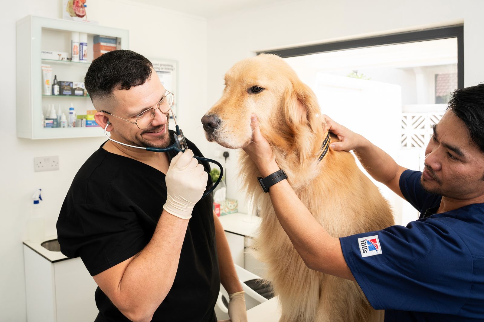 Treatment For Reverse Sneezing In Dogs