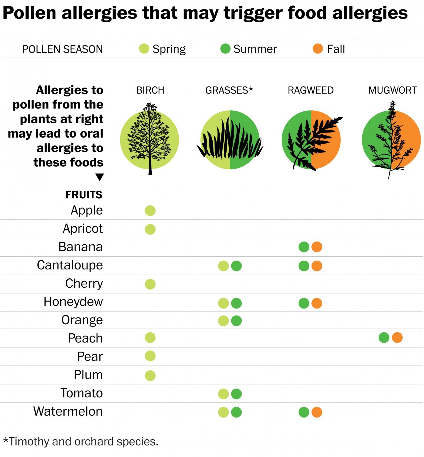 Tree Pollen Allergy