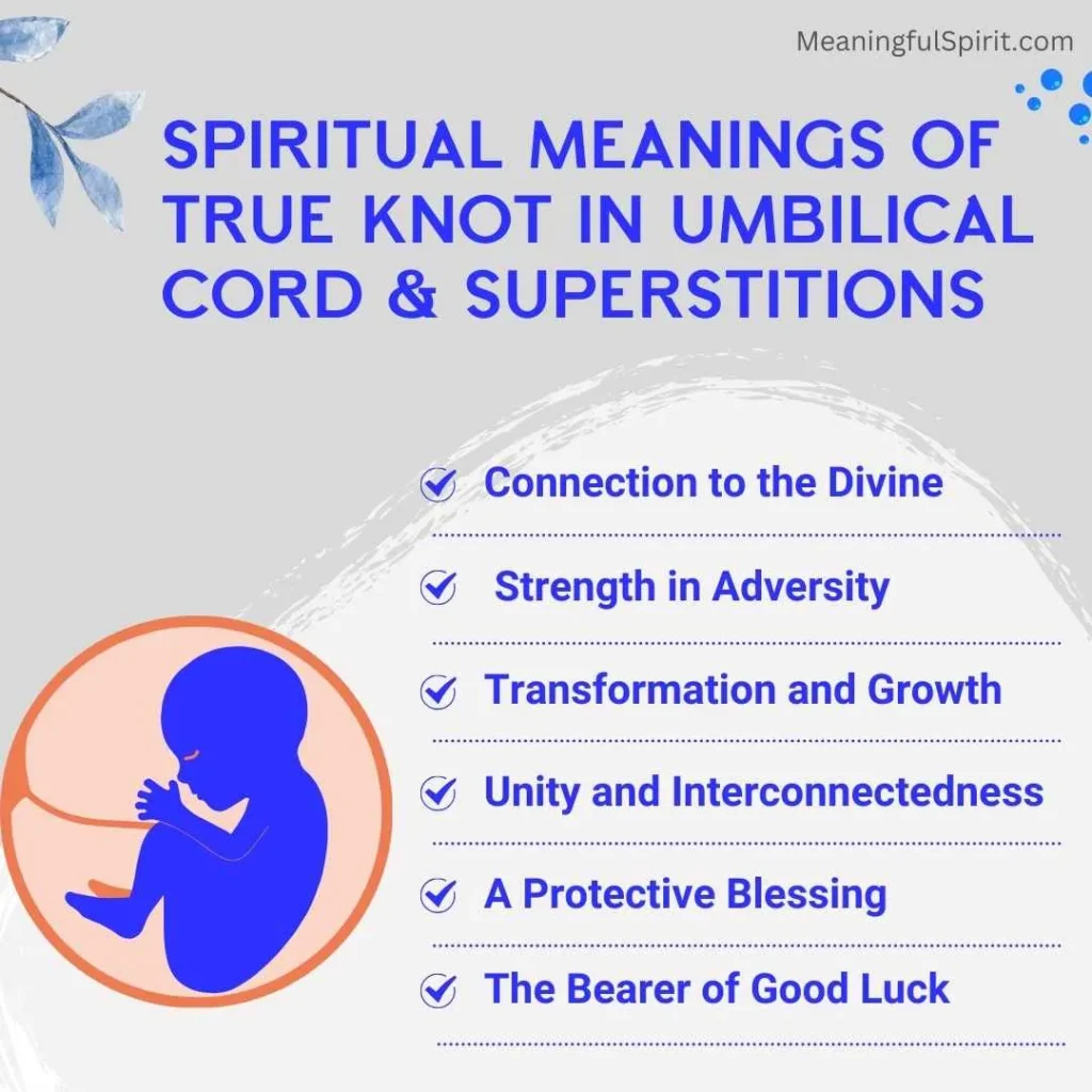 True Knot In Umbilical Cord