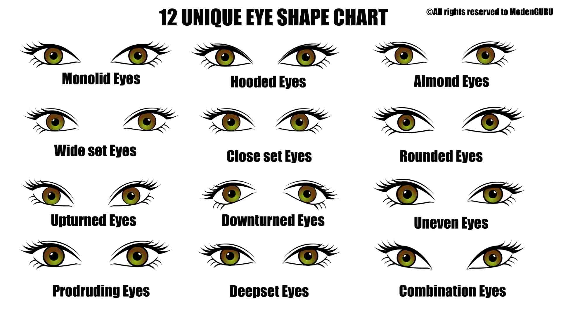 Types Of Eyes