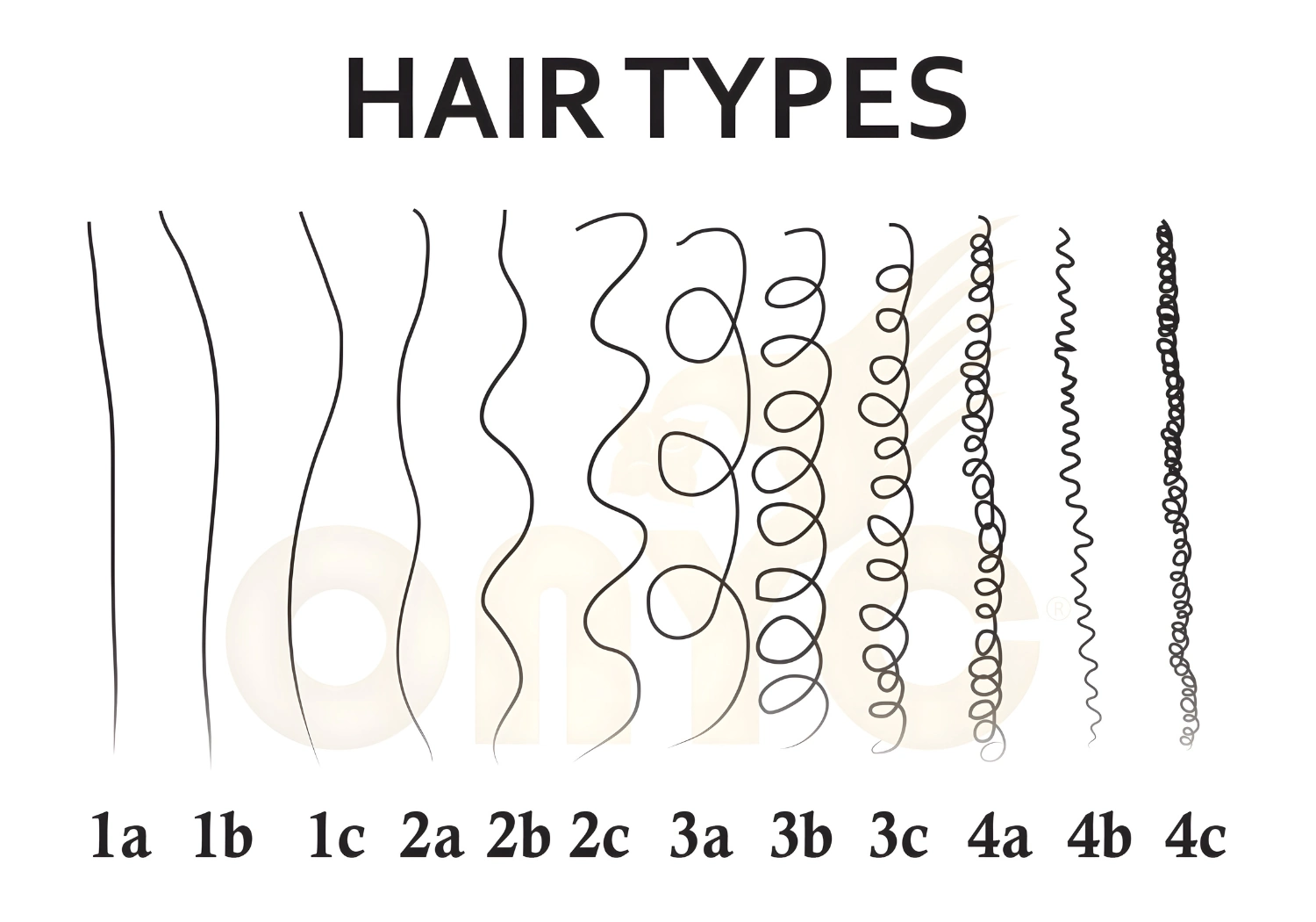 Types Of Hair