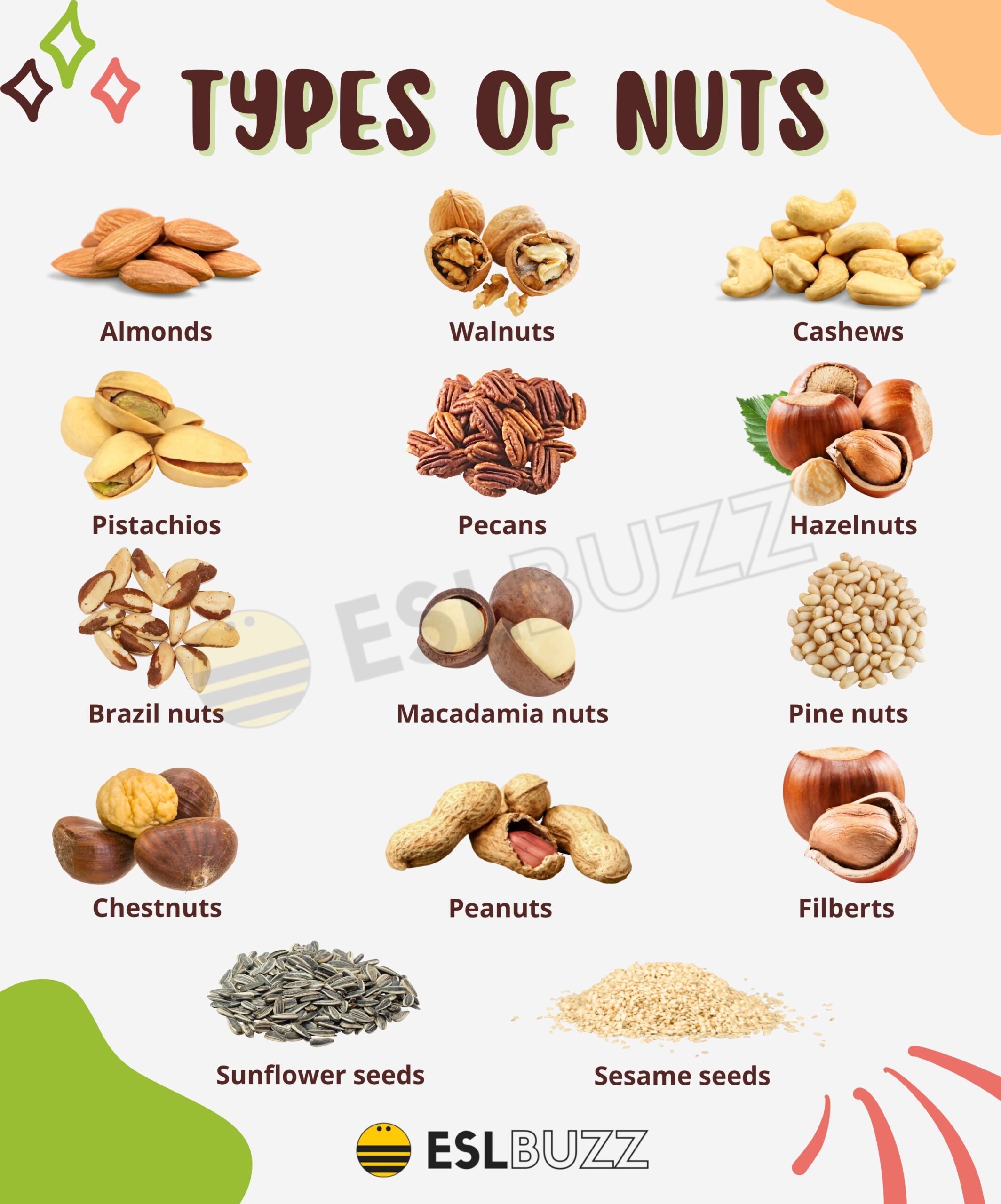 Types Of Nuts