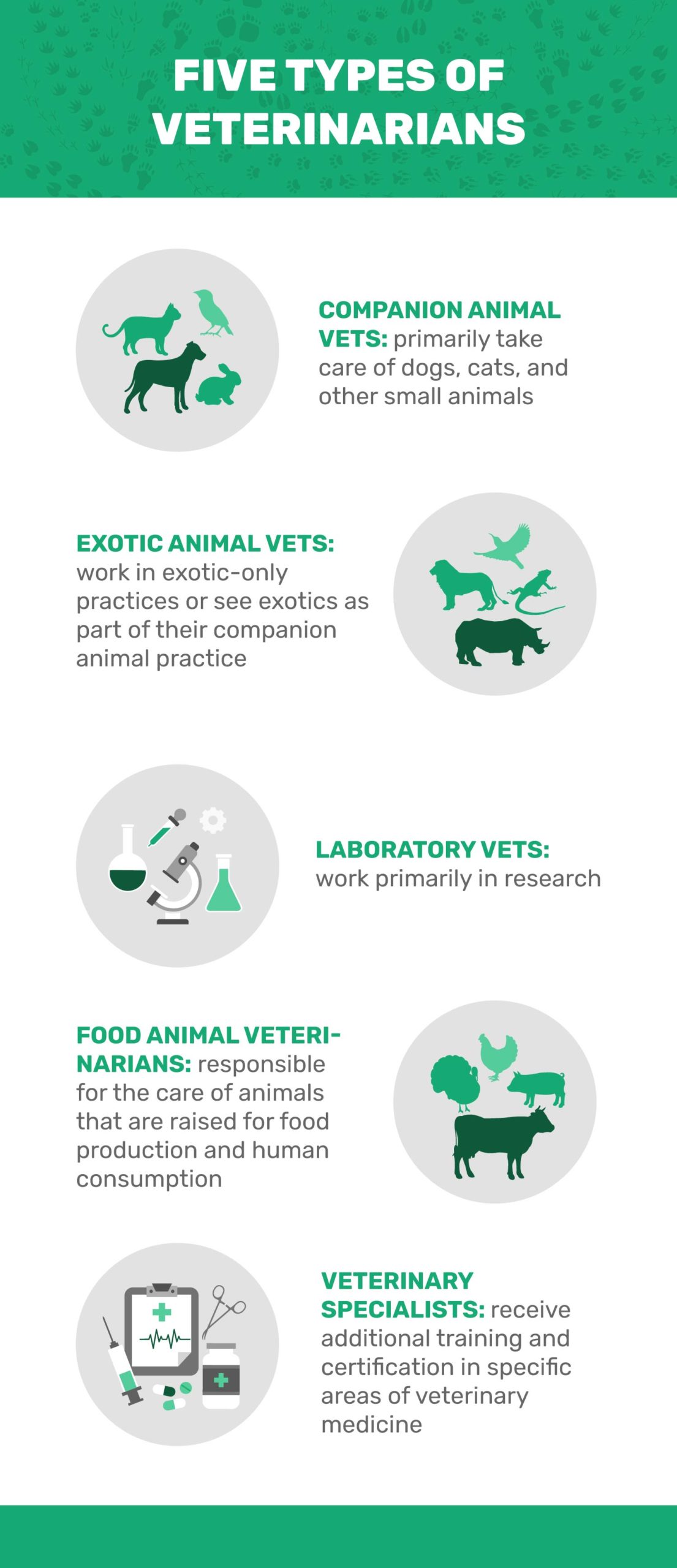 Types Of Veterinarians
