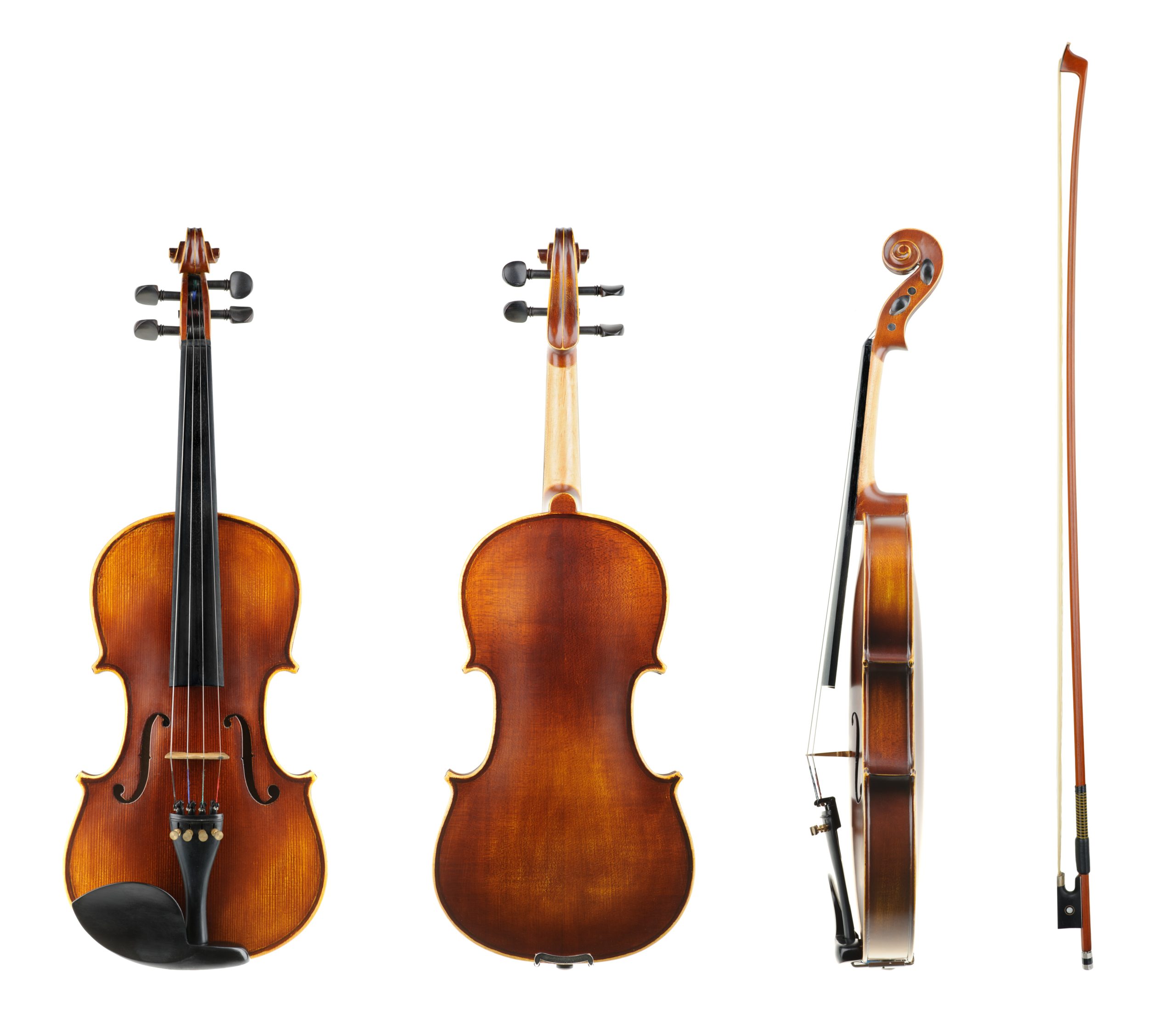 Types Of Violin