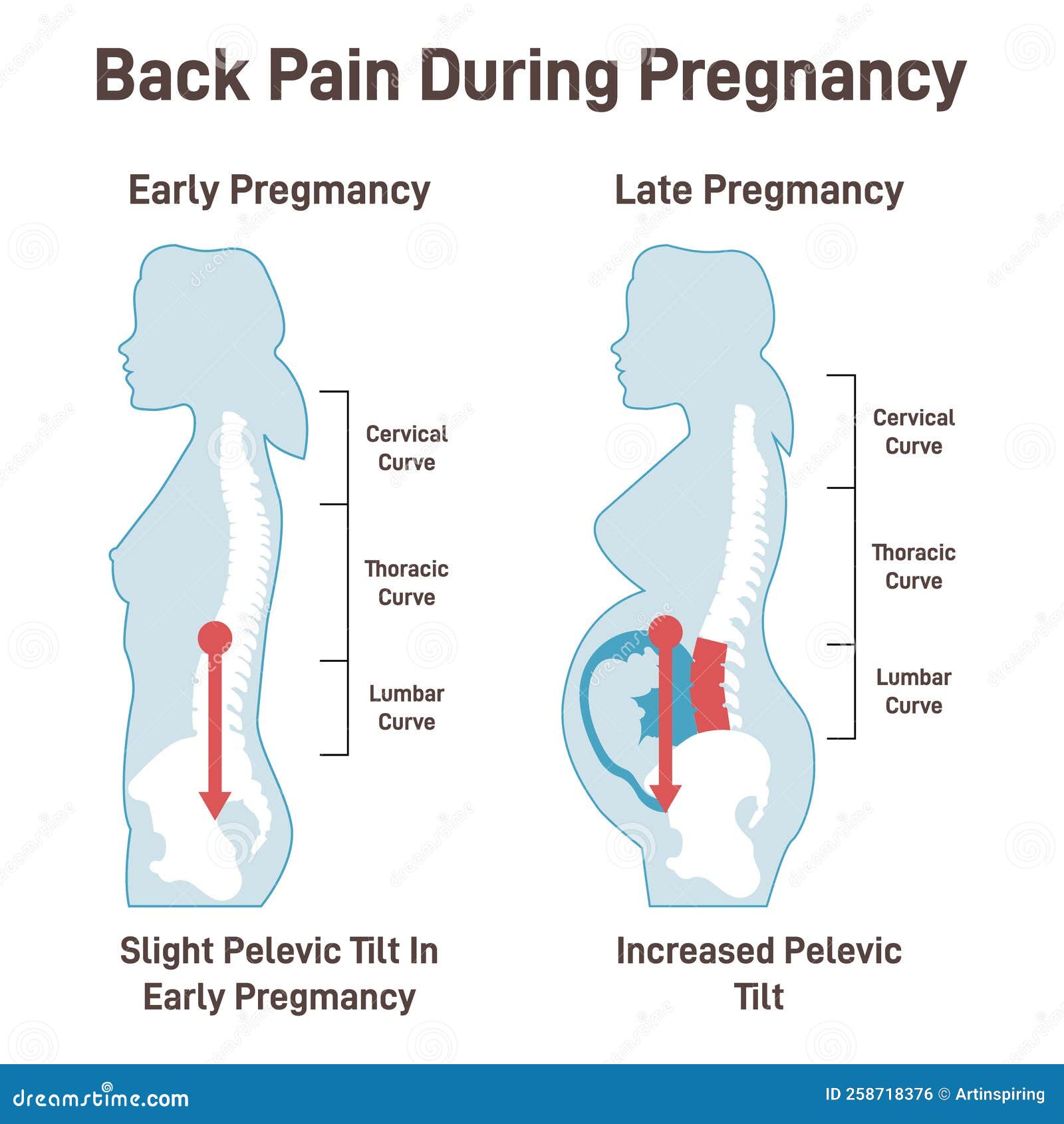 Upper Ab Pain During Pregnancy