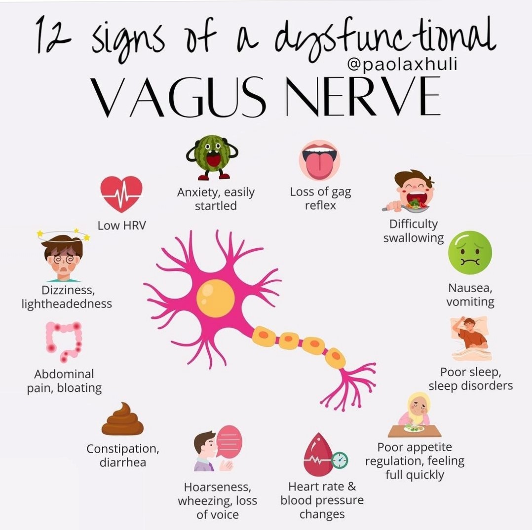 Vagus Nerve Dysfunction Symptoms