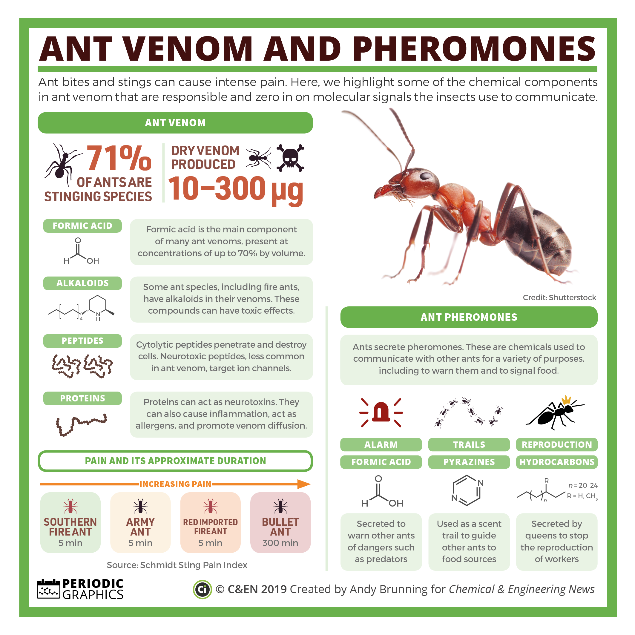 Venom Of Ants