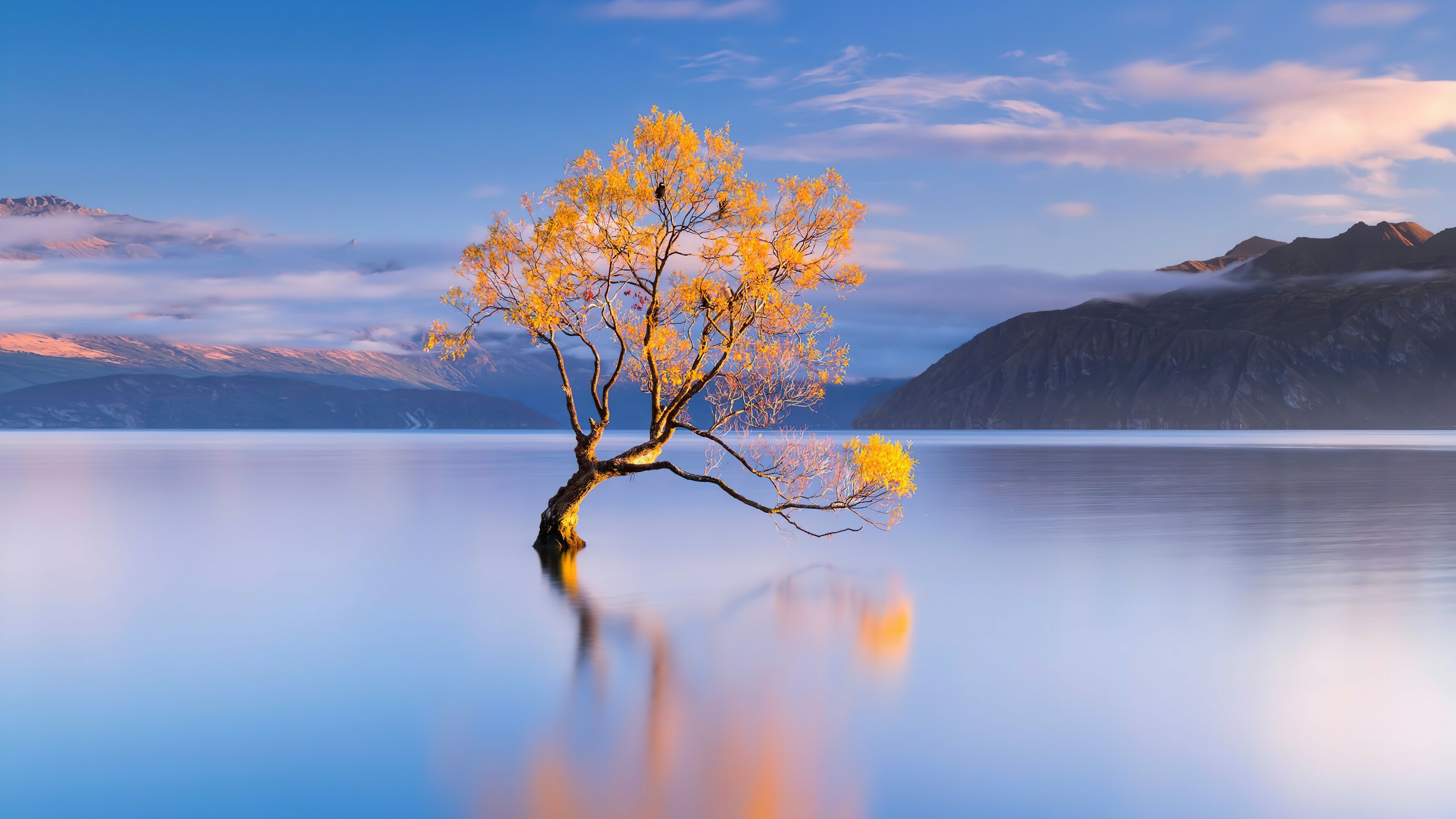 Wallpaper Of Peace