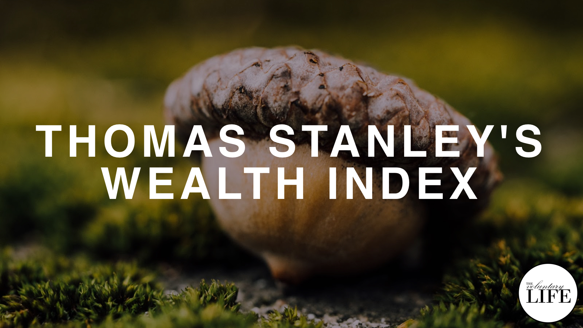 Wealth Index