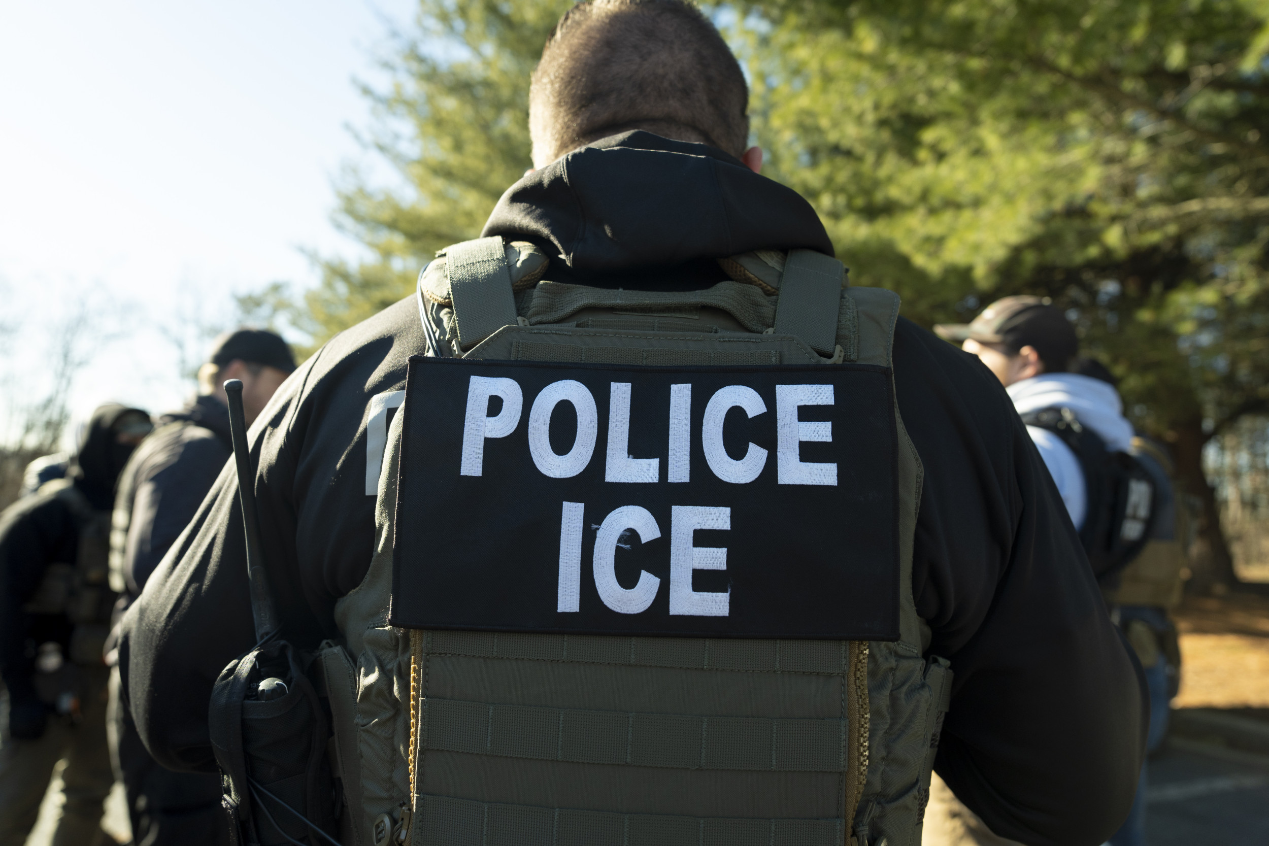 What Are Ice Agents