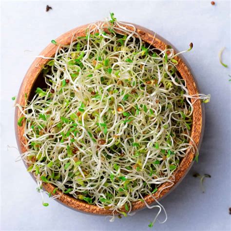 What Are Sprouts