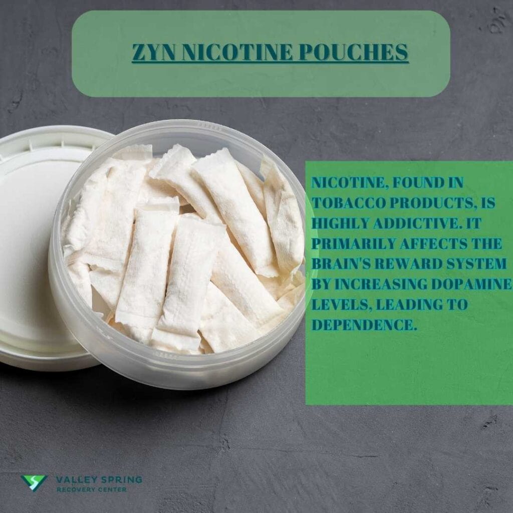 What Are Zyns
