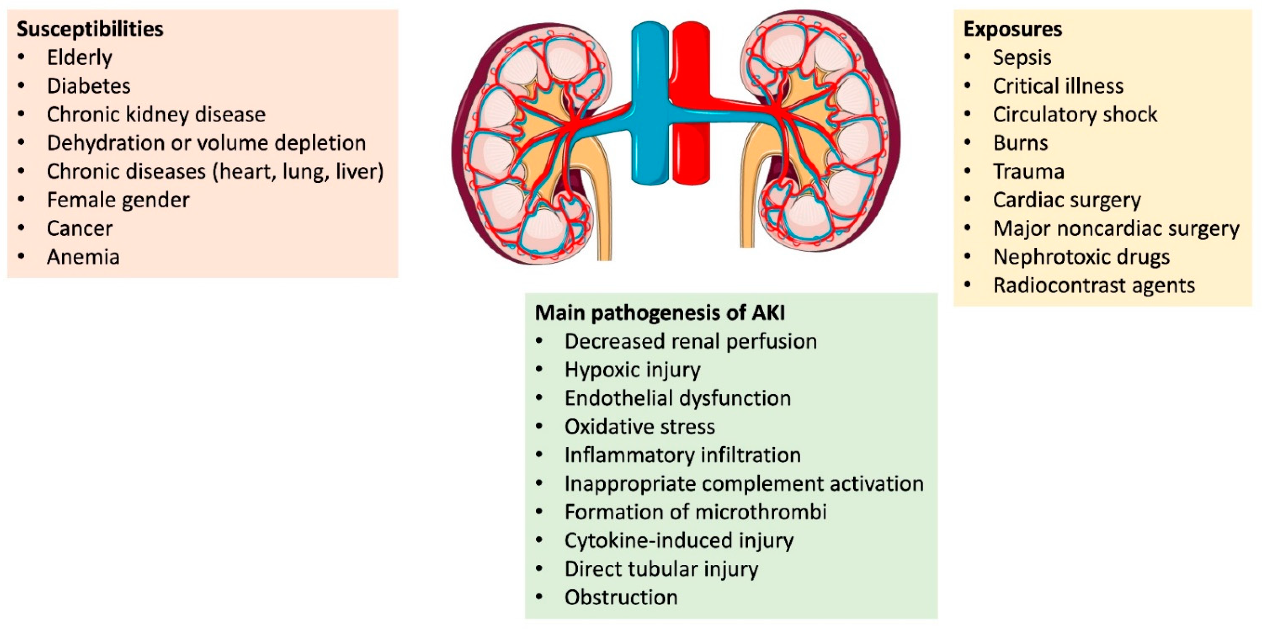 What Causes Kidney Disease