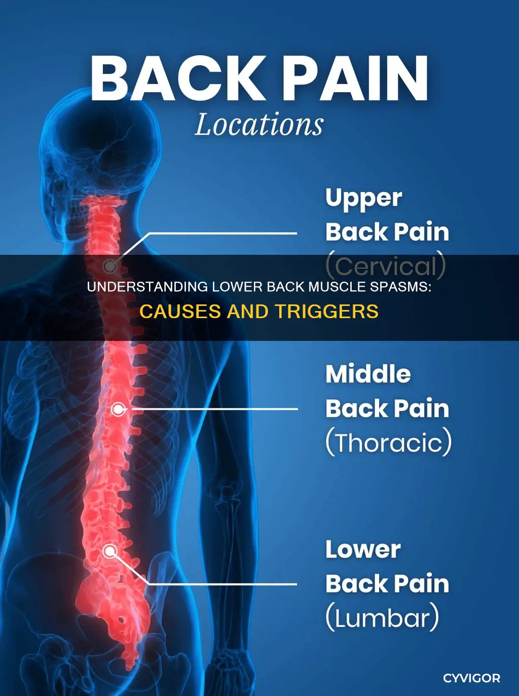 What Causes Lower Back Spasms