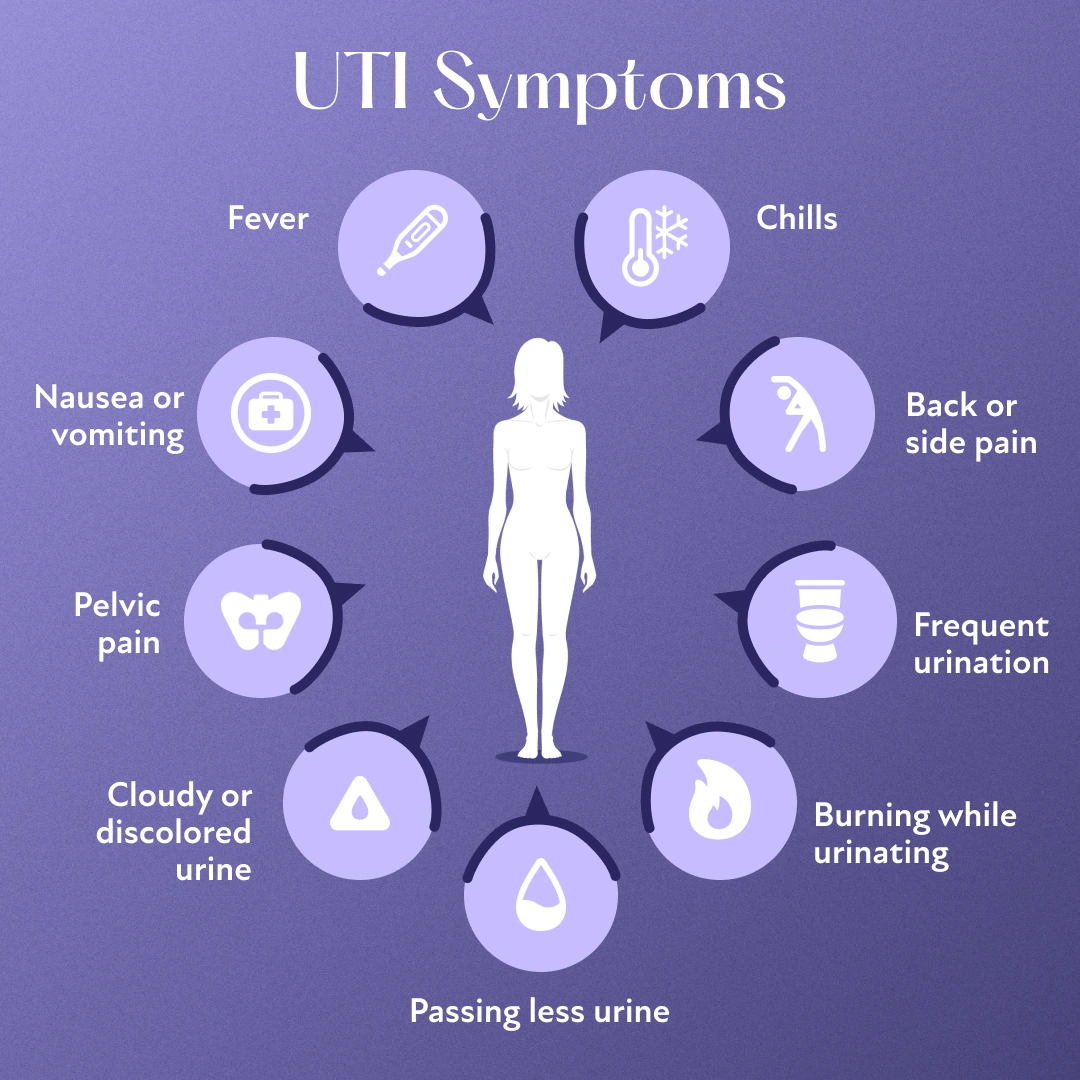 What Causes Uti In Women