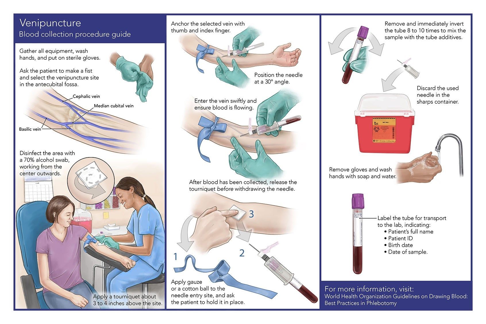 What Do Phlebotomist Do