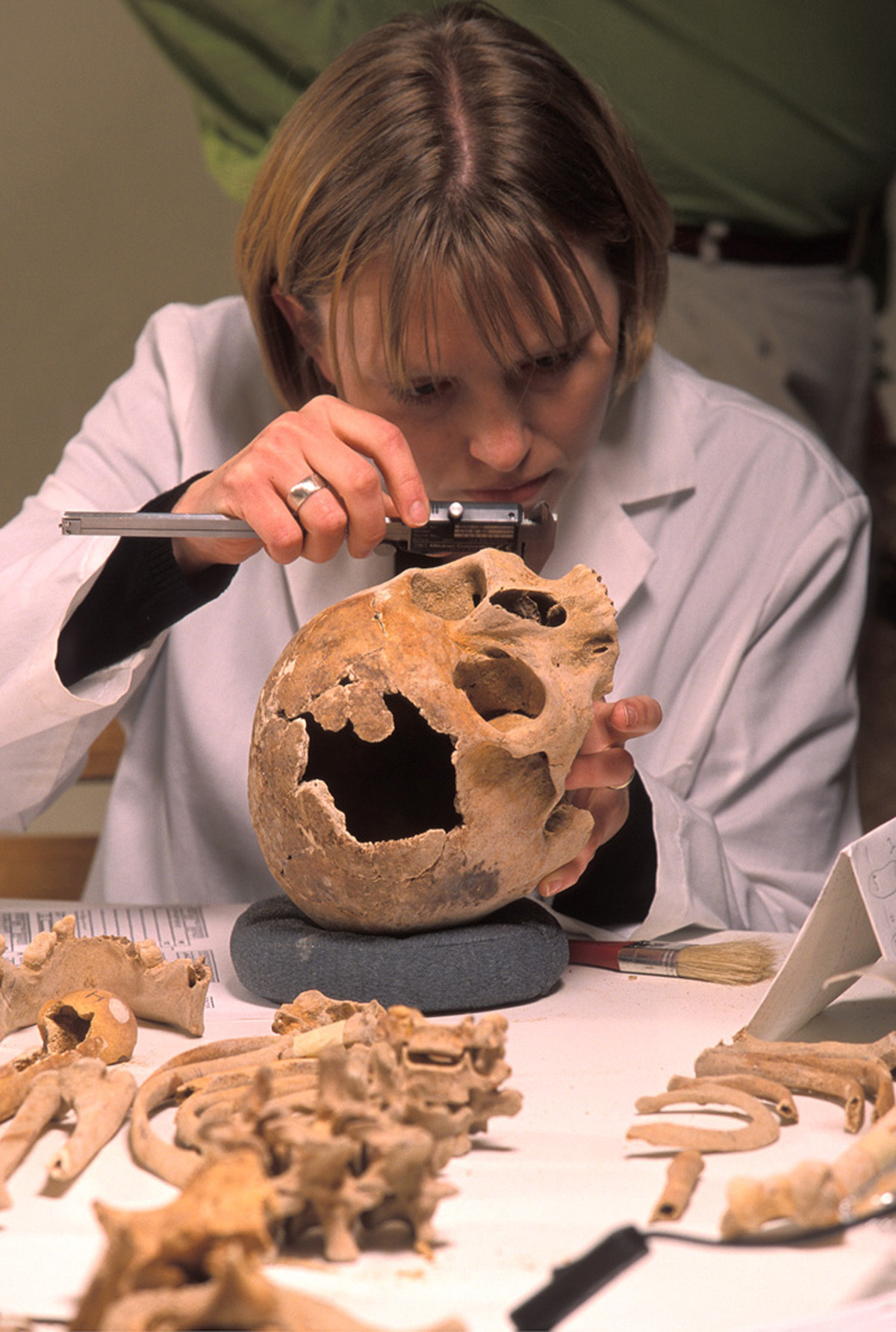 What Does An Anthropologist Do