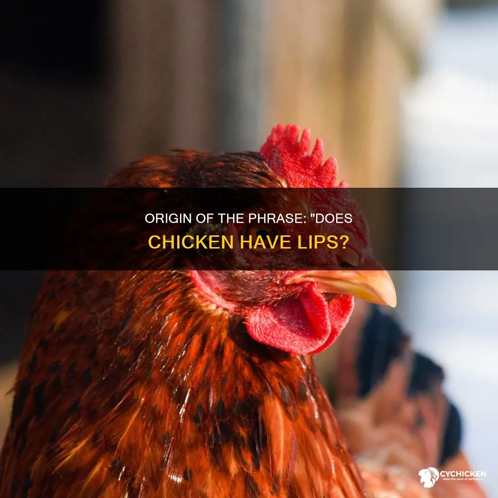 What Does Do Chickens Have Lips Mean