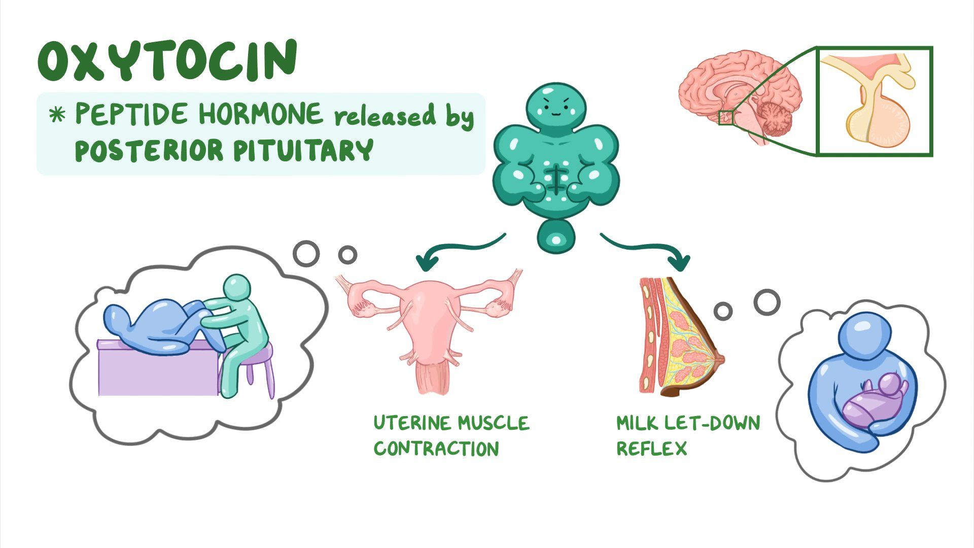 What Does Pitocin Do
