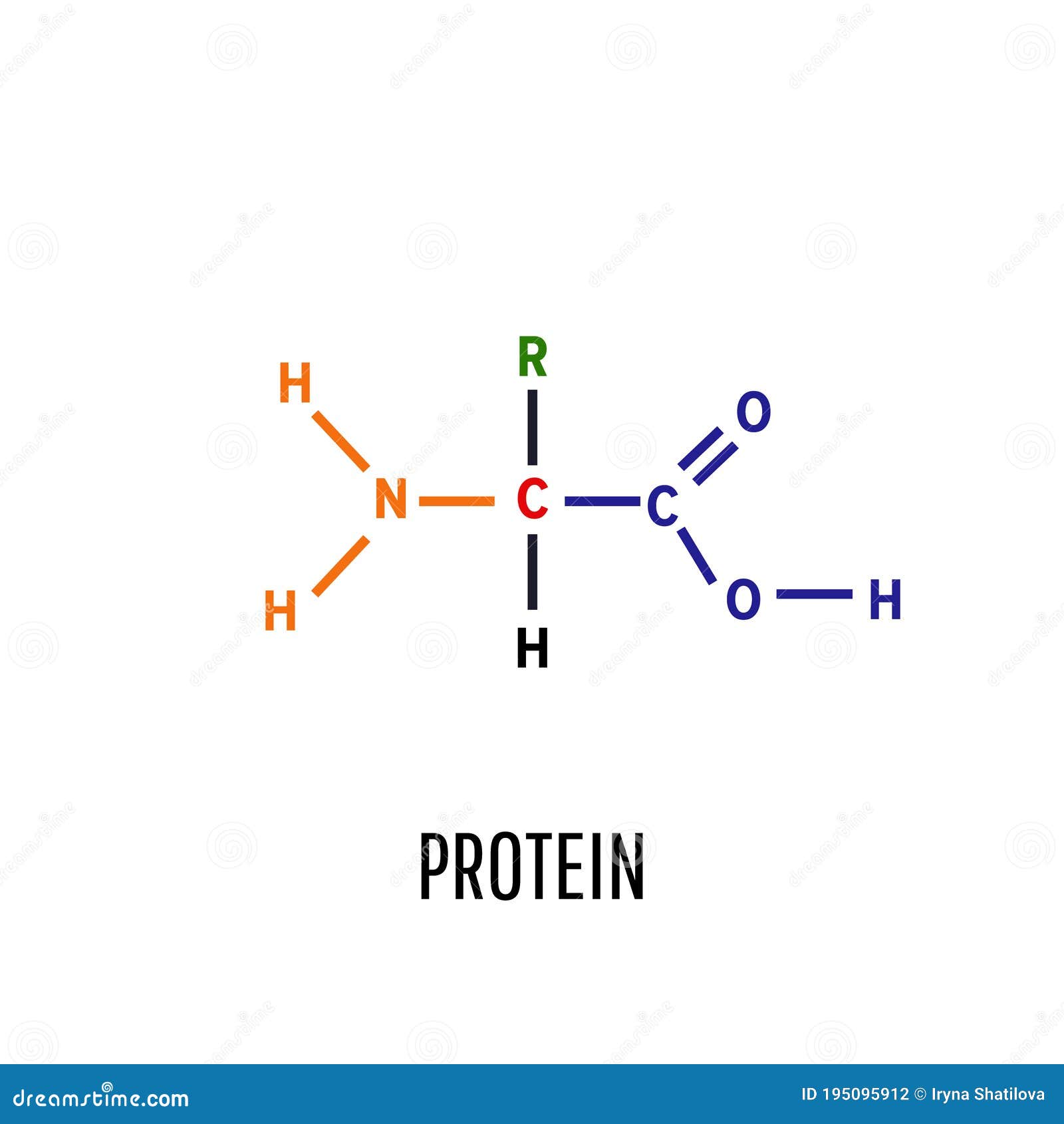 What Elements Are In Proteins