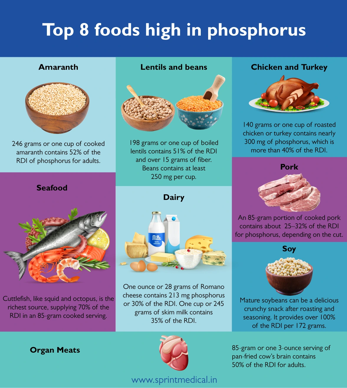 What Foods Have High Phosphorus