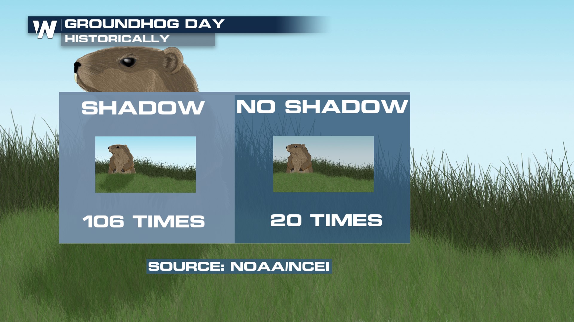 What Happens If Groundhog Doesn't See Shadow