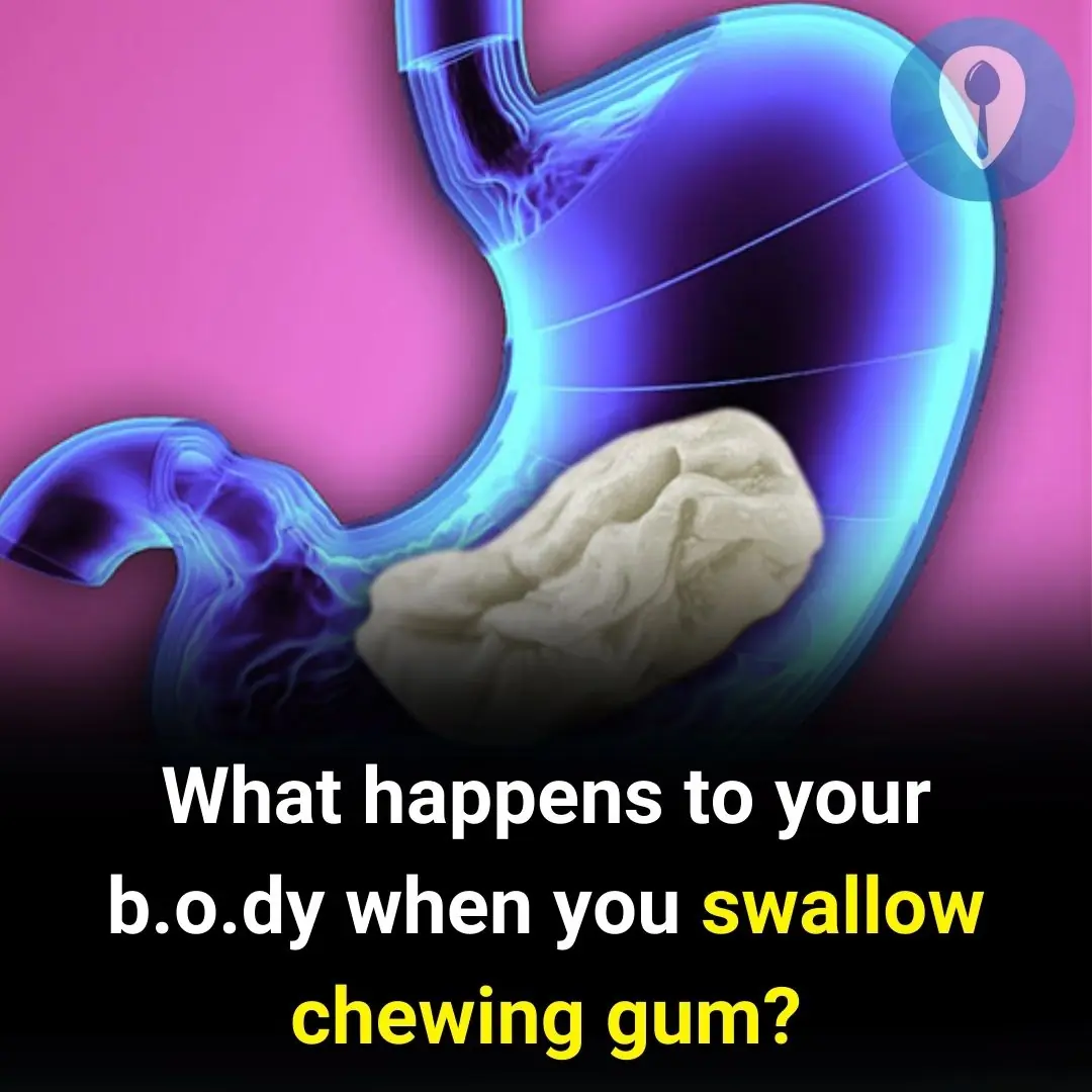 What Happens If We Swallow Chewing Gum