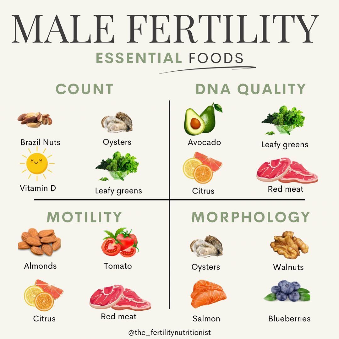 What Improves Male Fertility