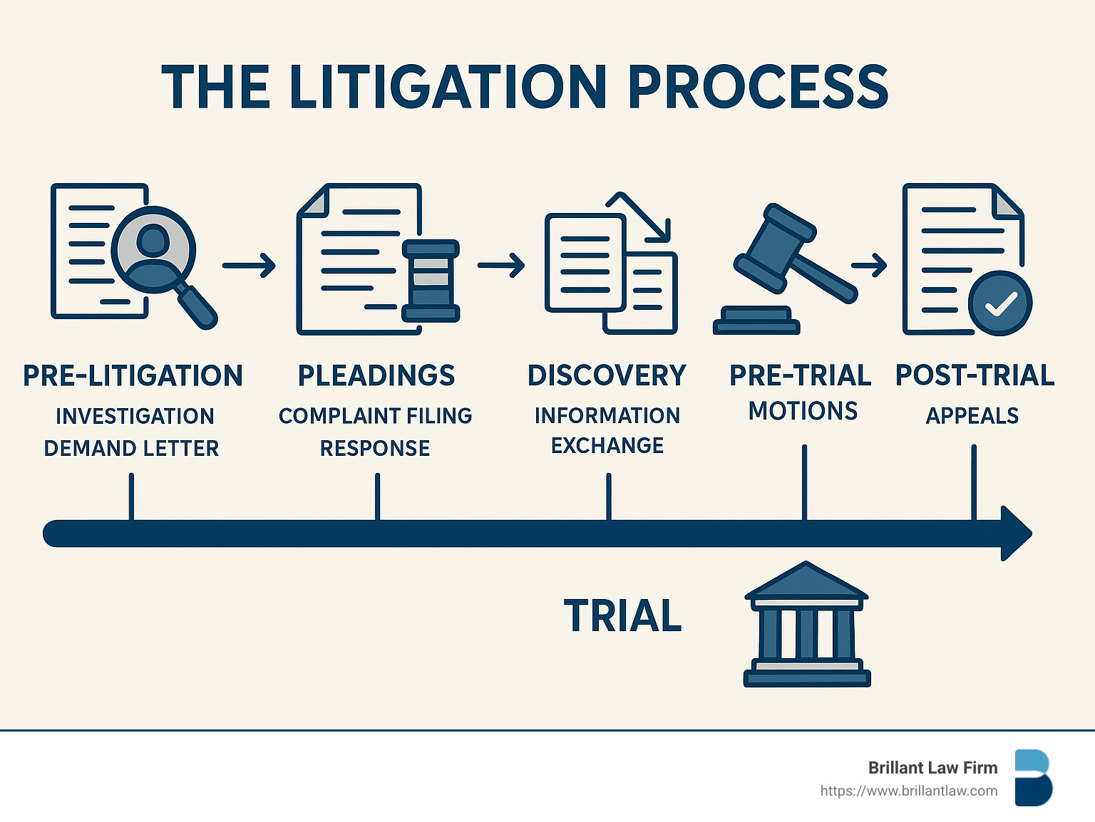 What Is A Litigator