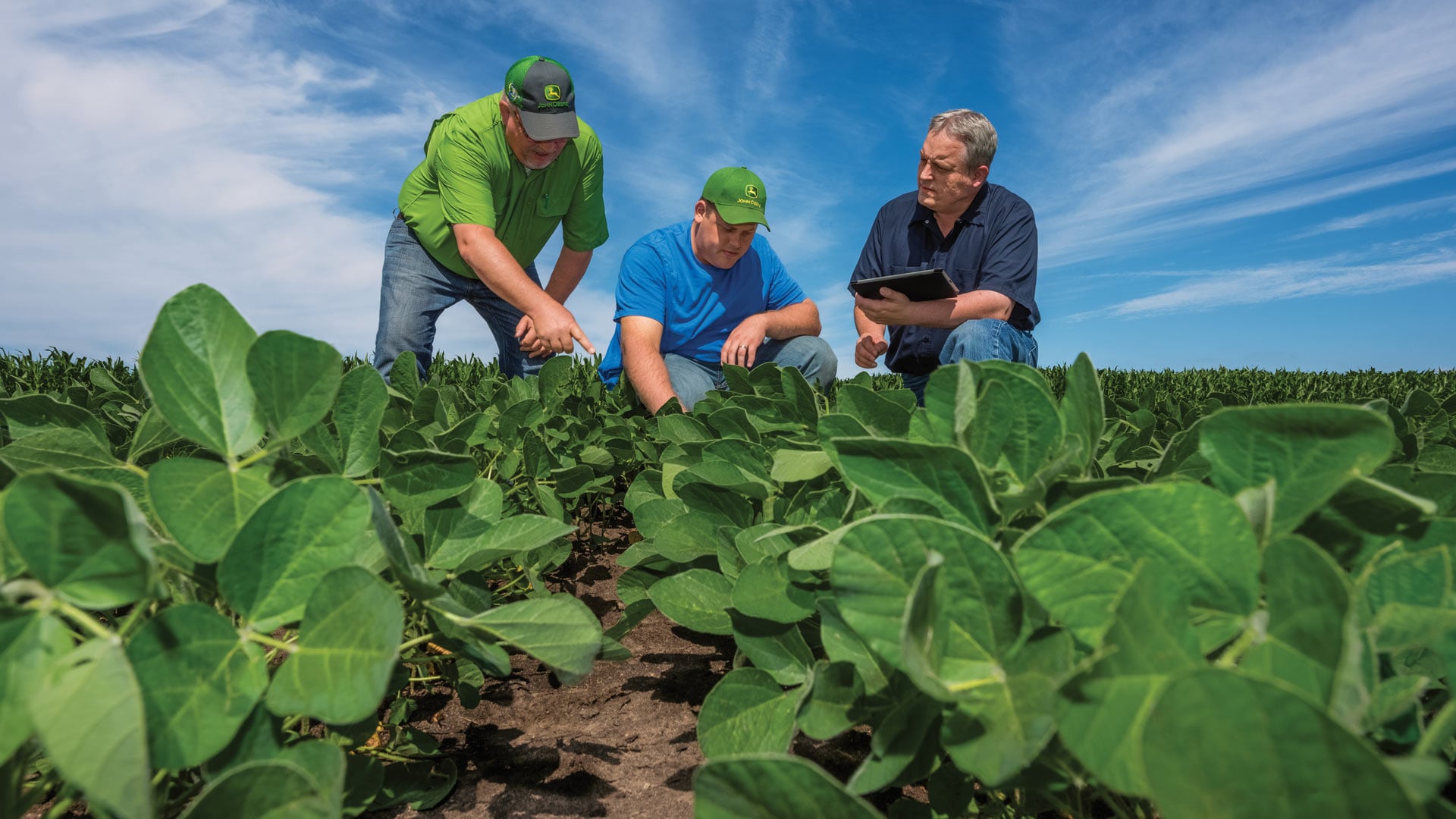 What Is An Agronomist