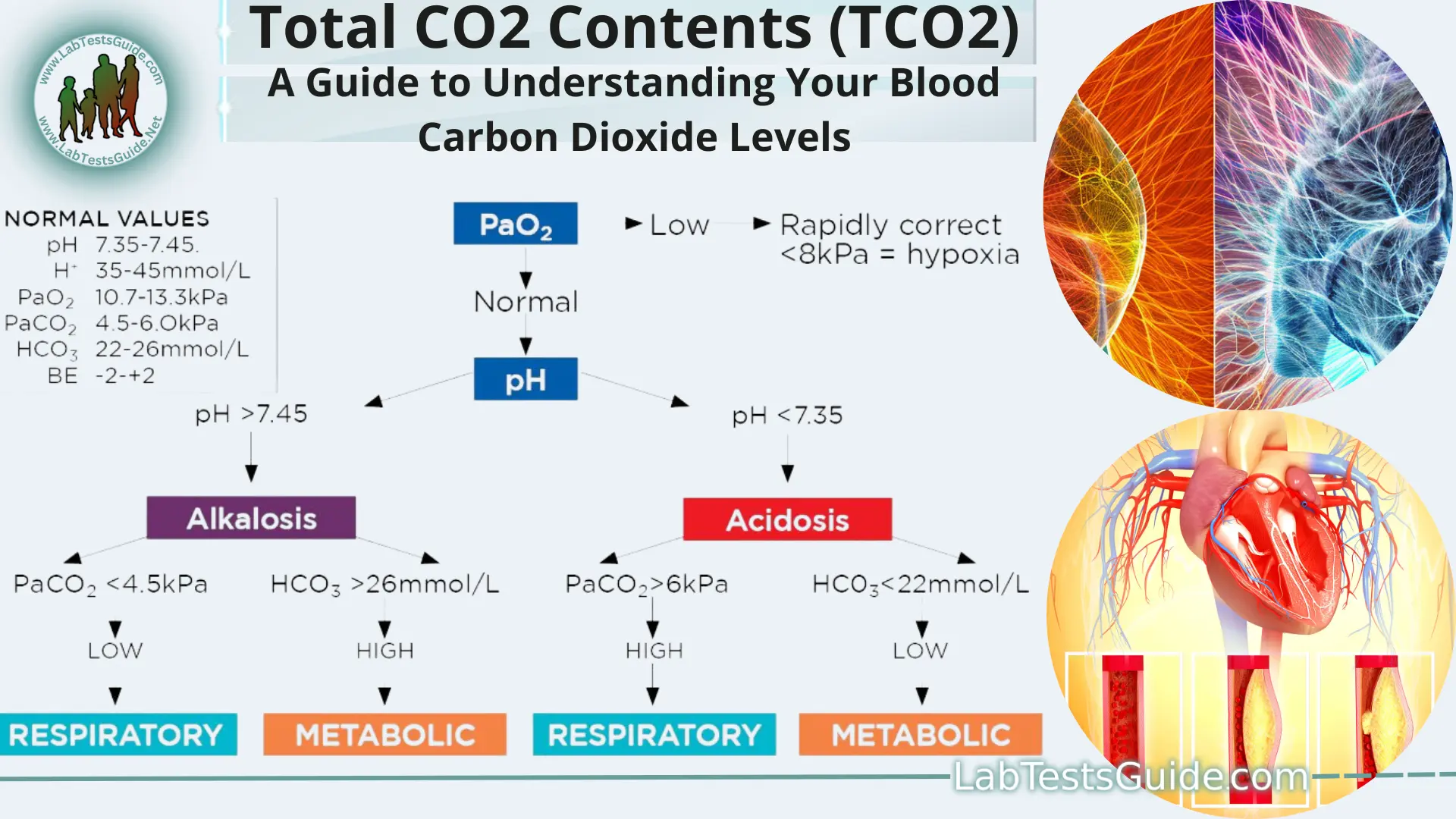 What Is Co2in Blood Test