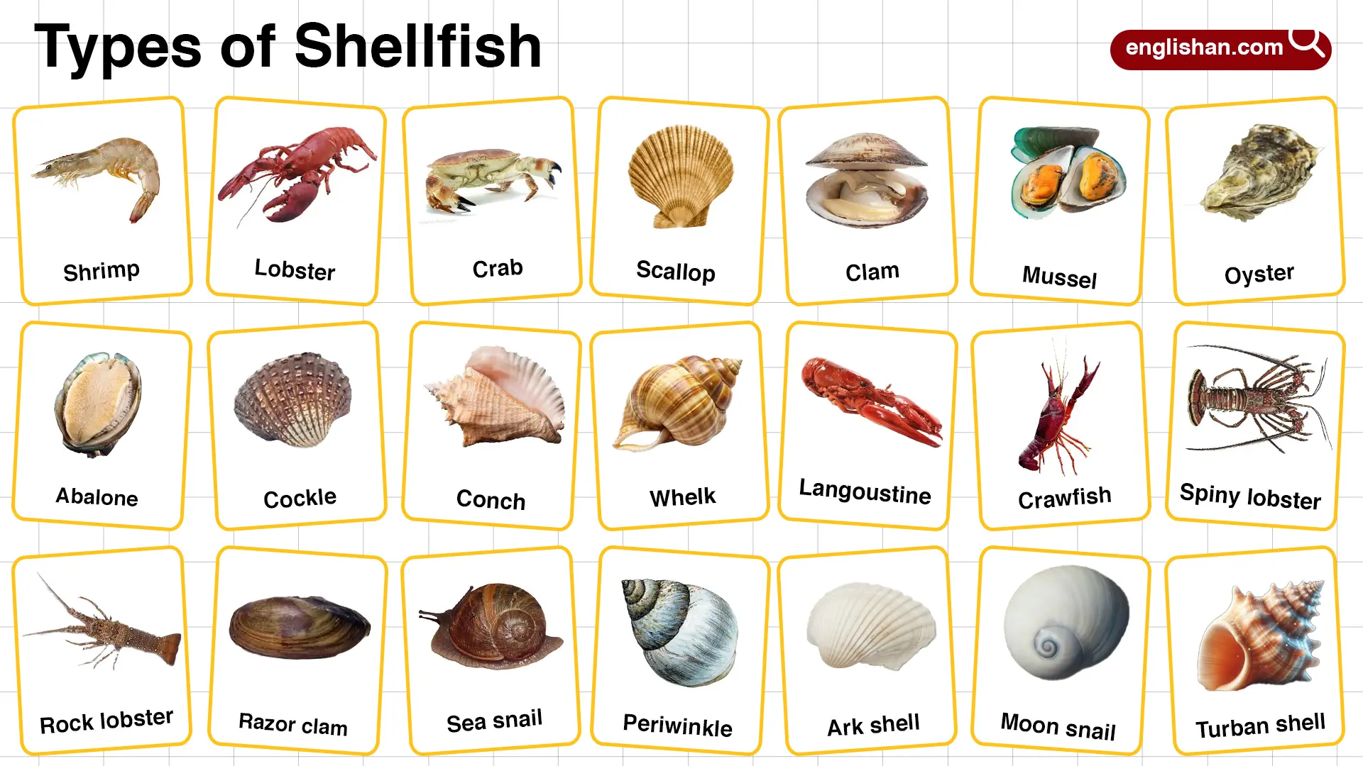 What Is Considered Shellfish