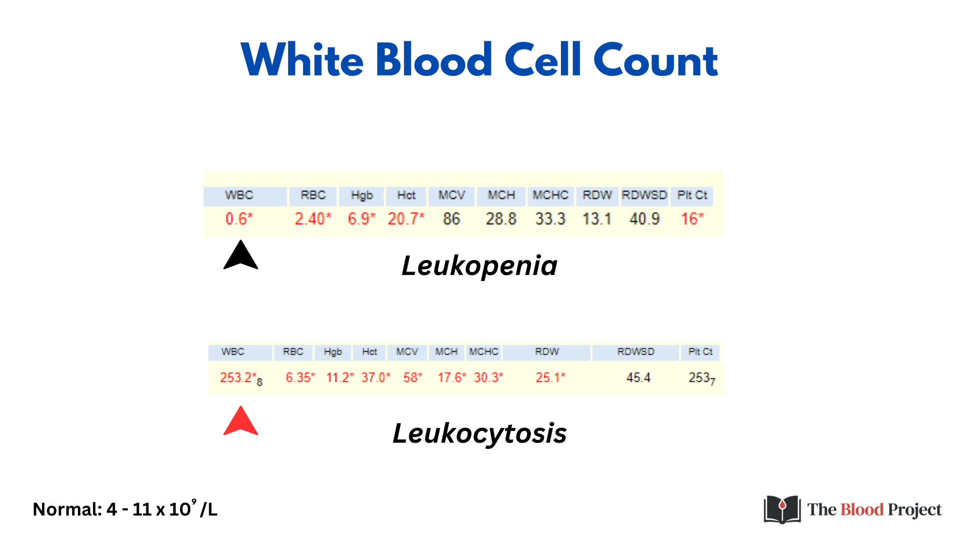 What Is Normal Wbc Count