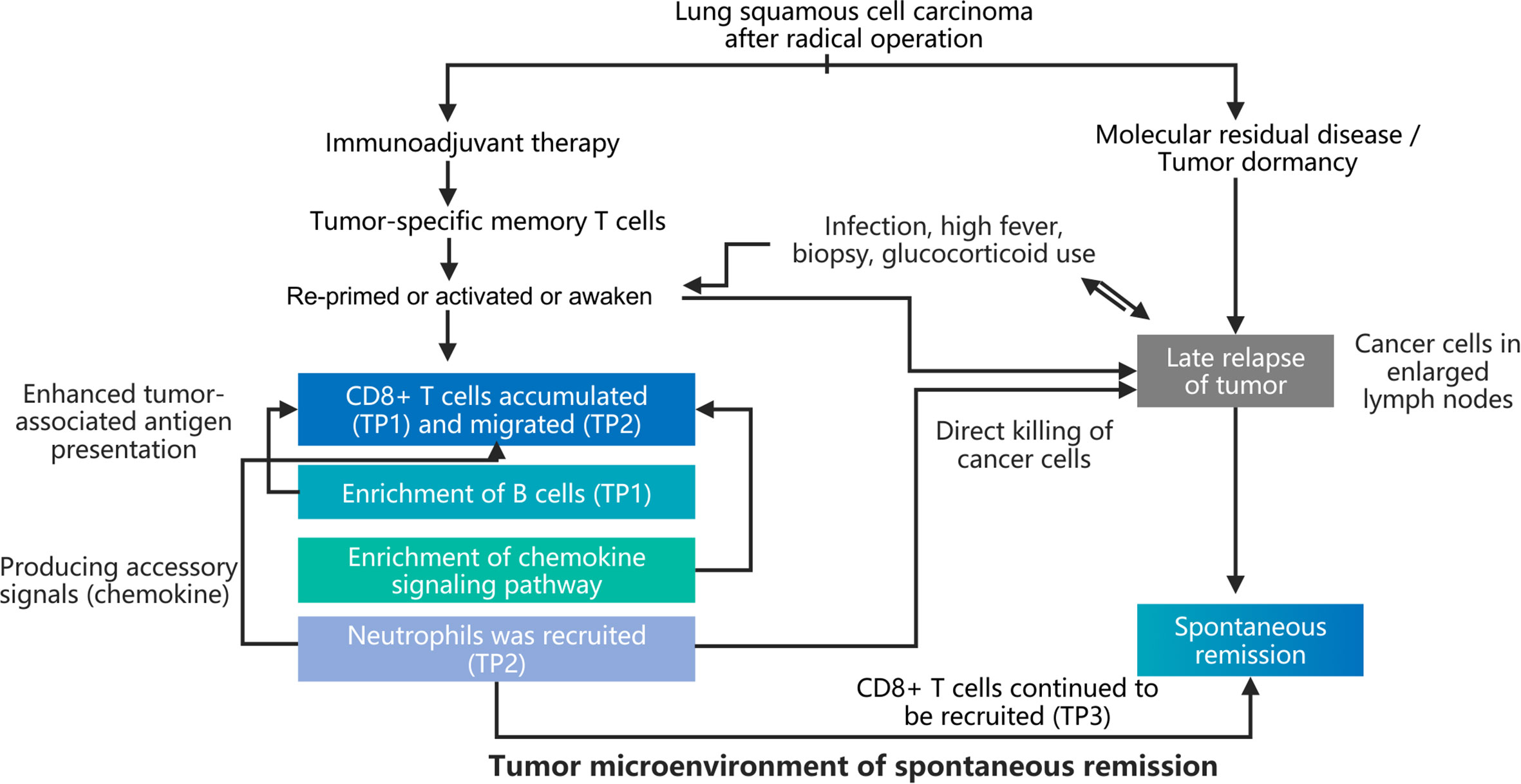 What Is Remission In Cancer