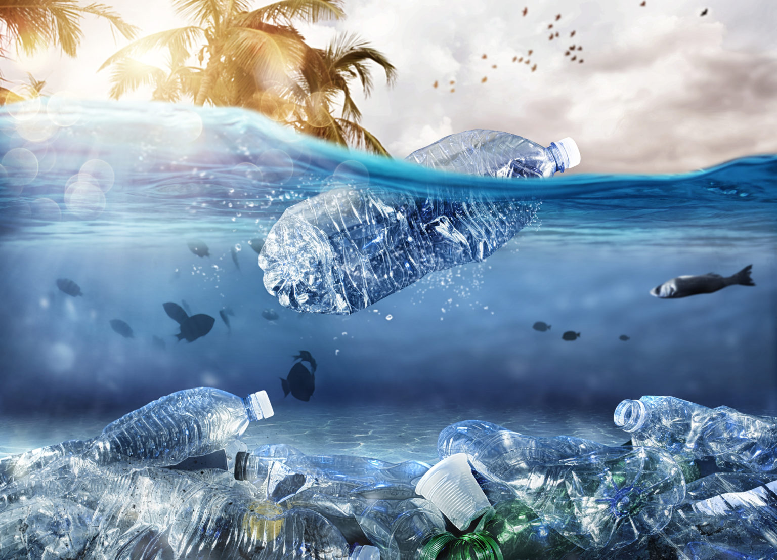 What Is The Impact Of The Plastic Pollution