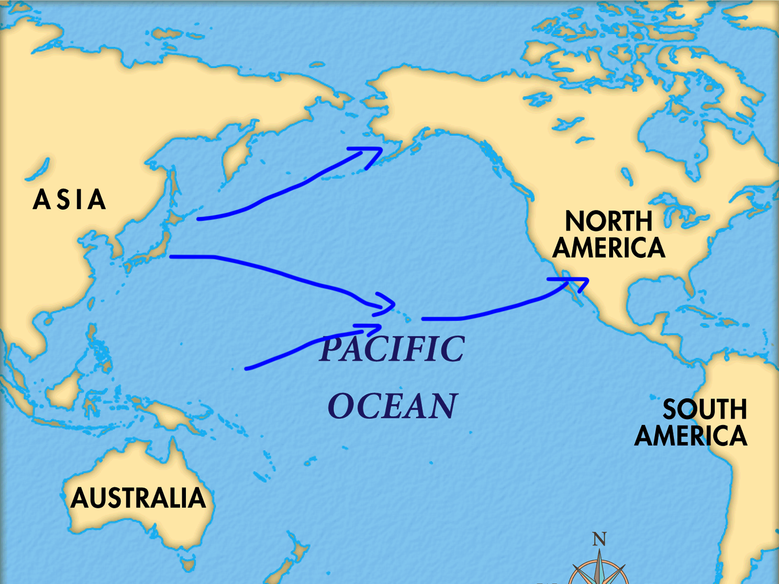 What Is The Largest Ocean In The World