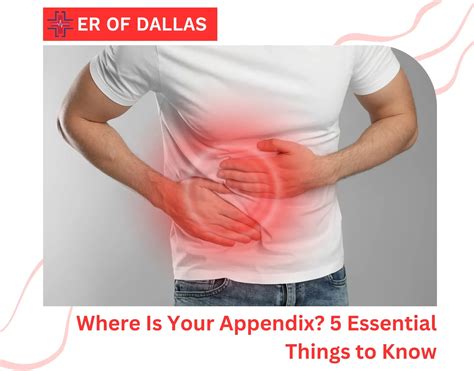 What Side Is Your Appendix