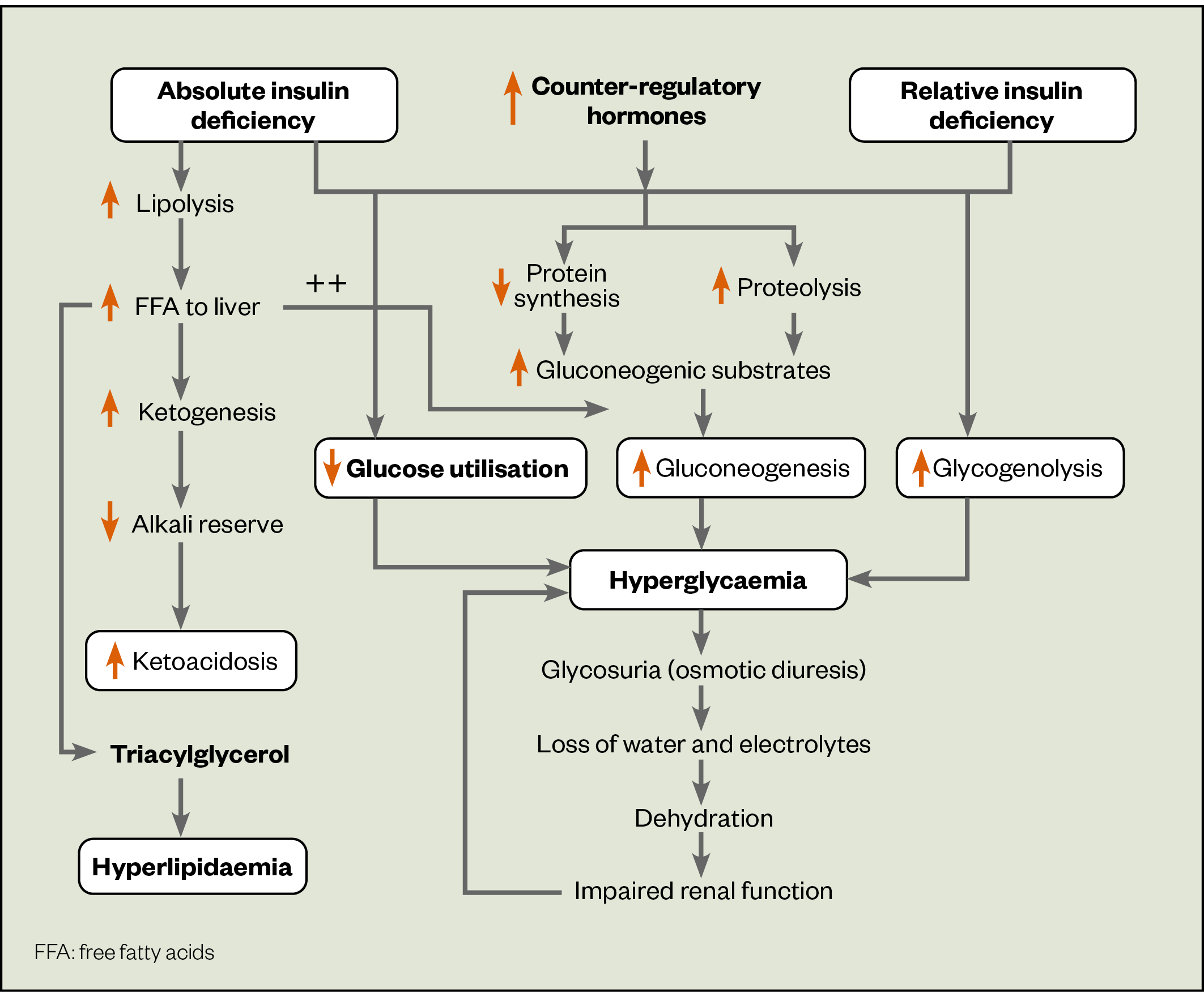 What Triggers Ketoacidosis