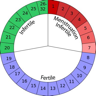 When Are You Least Fertile