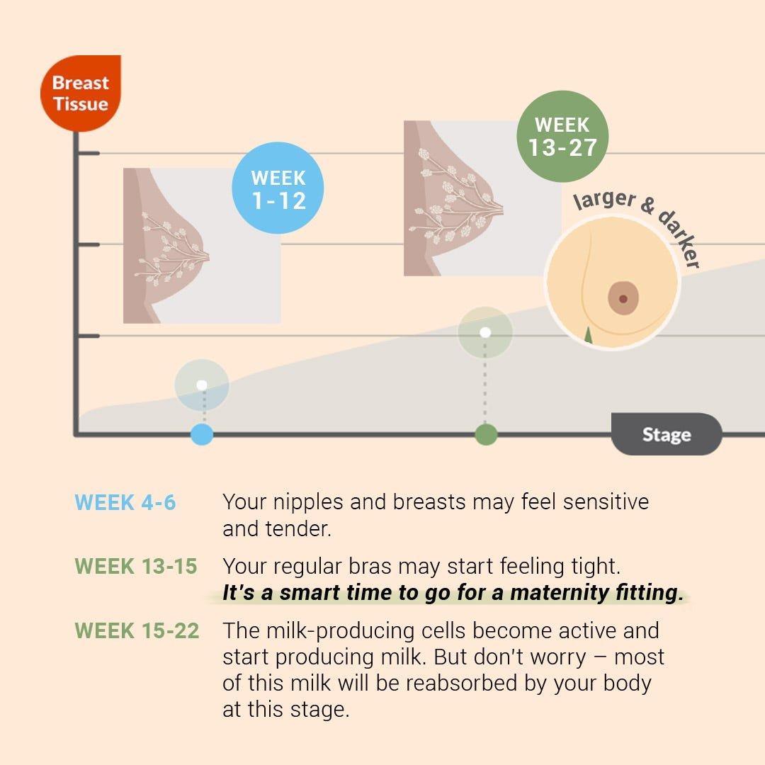 When Do Breasts Stop Developing