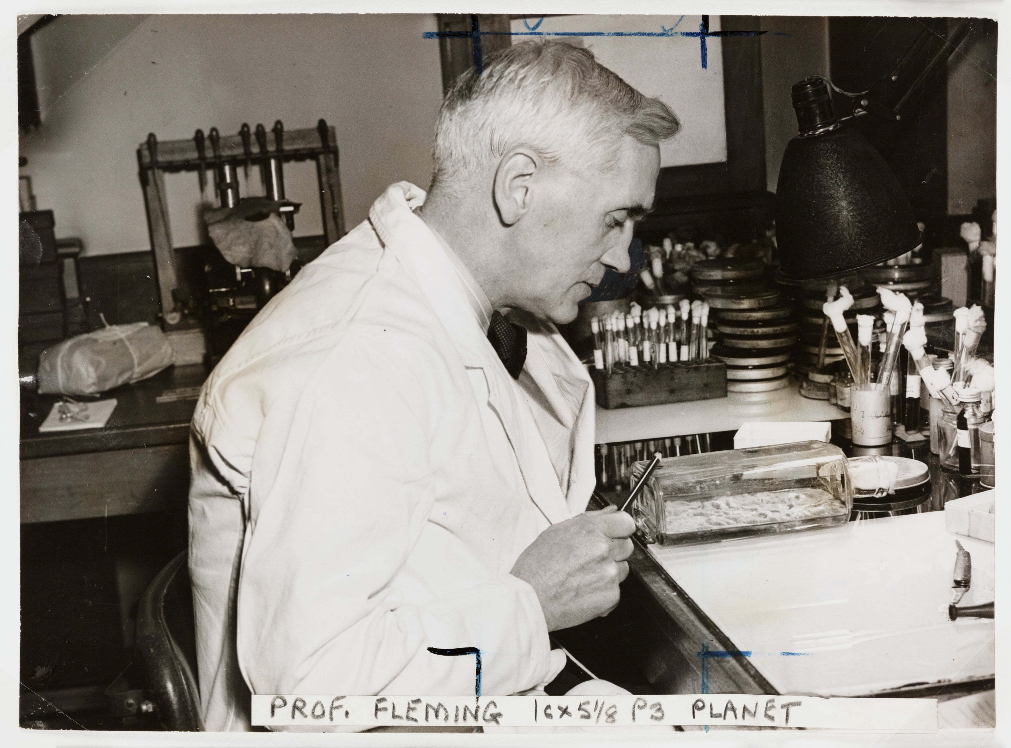When Was Invented Antibiotics