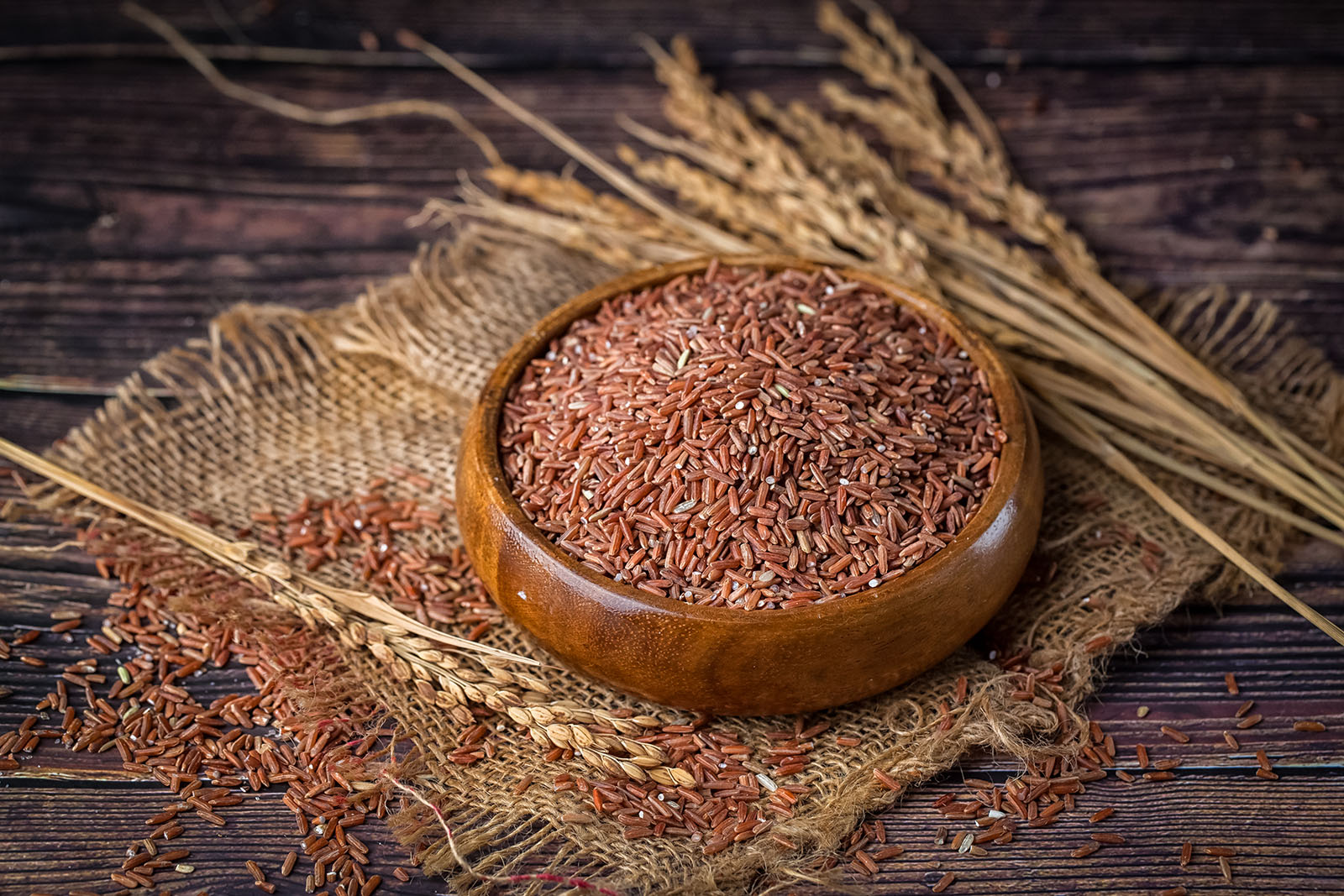 When Was Rice Discovered