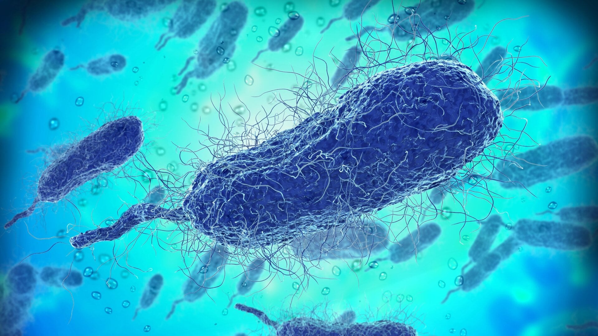 Where Is Flesheating Bacteria Found