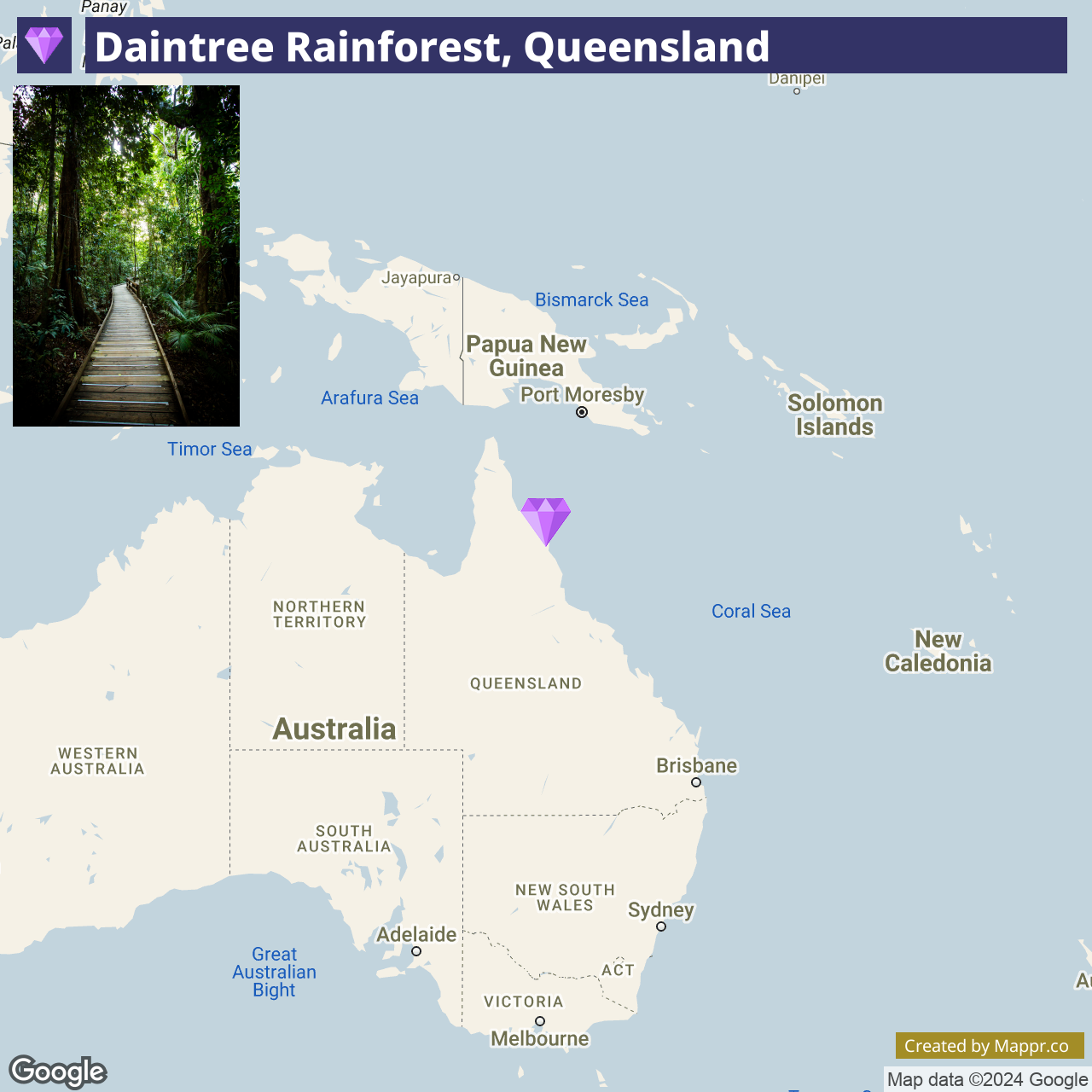 Where Is Located Rainforest In Daintree